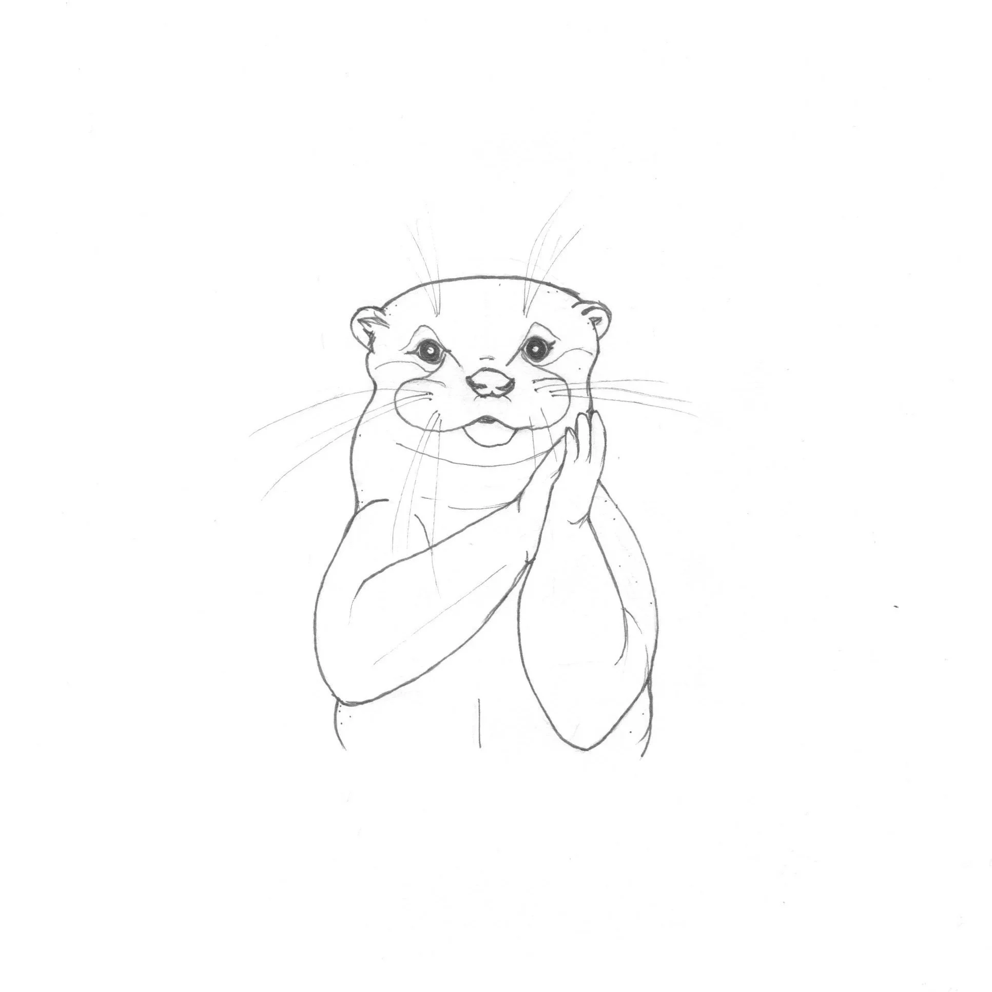 Otter.jpg