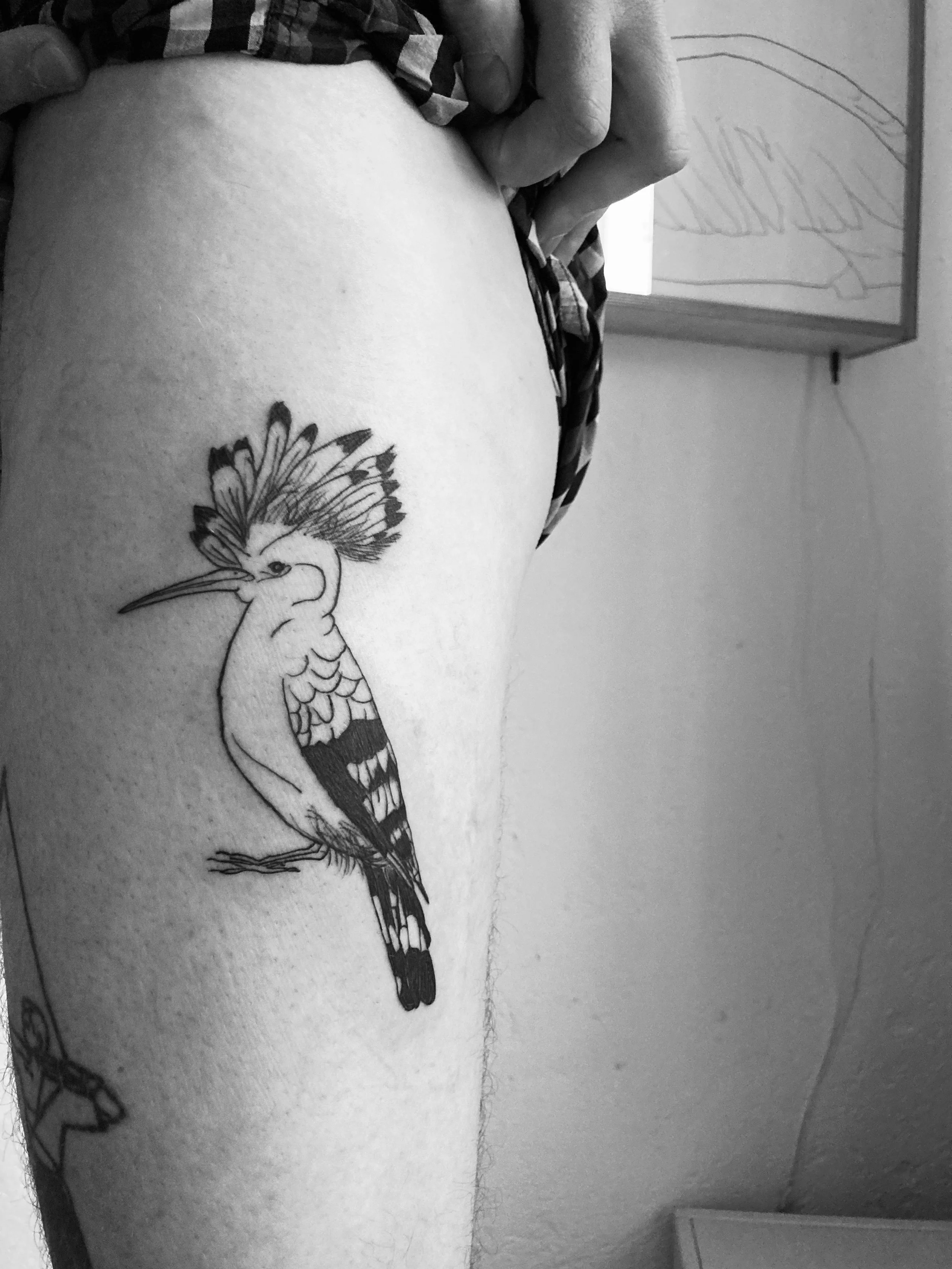 Wiedehopf Tattoo auf einem Bein von Rahel Bachem 