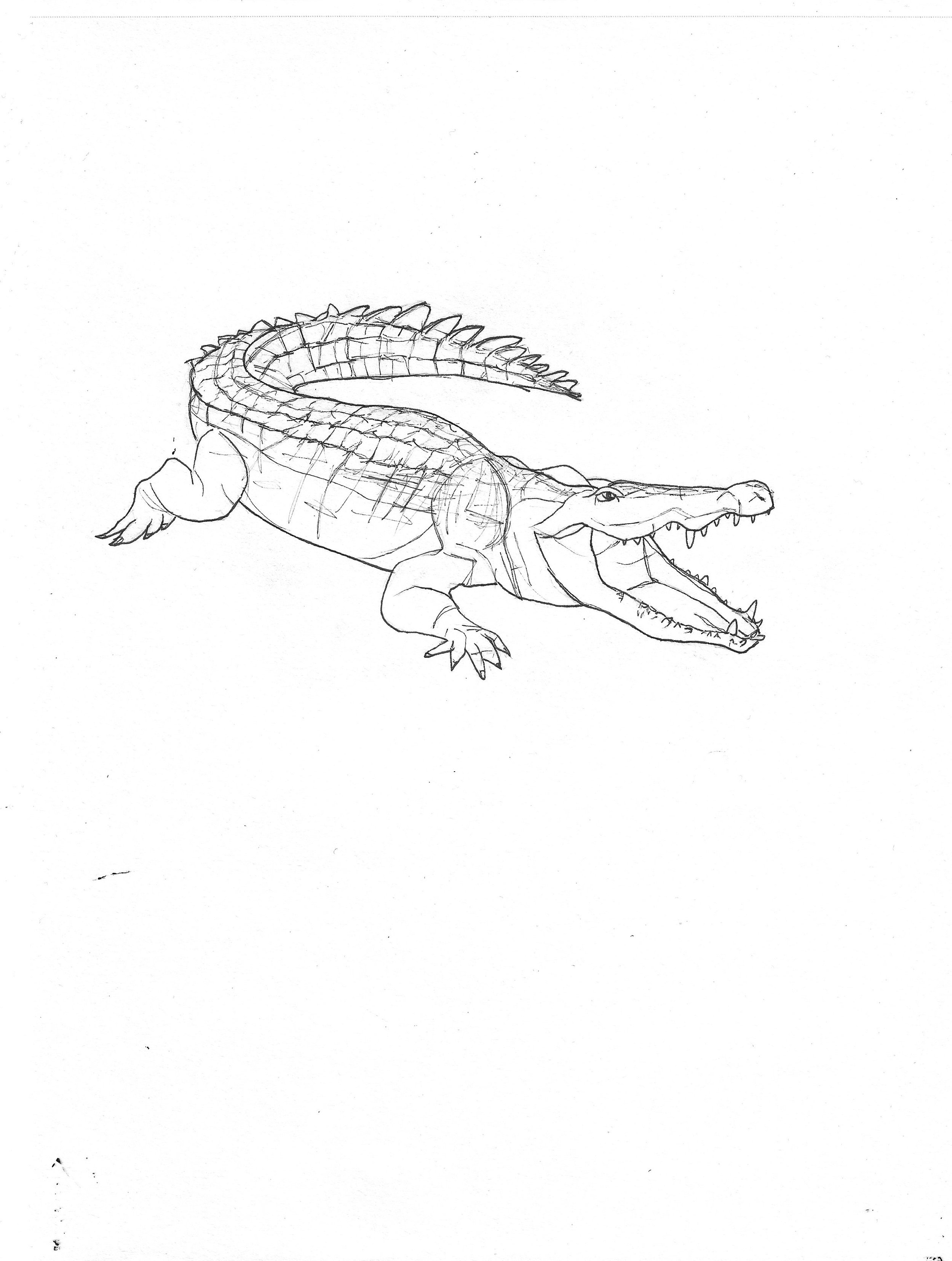 Krokodil