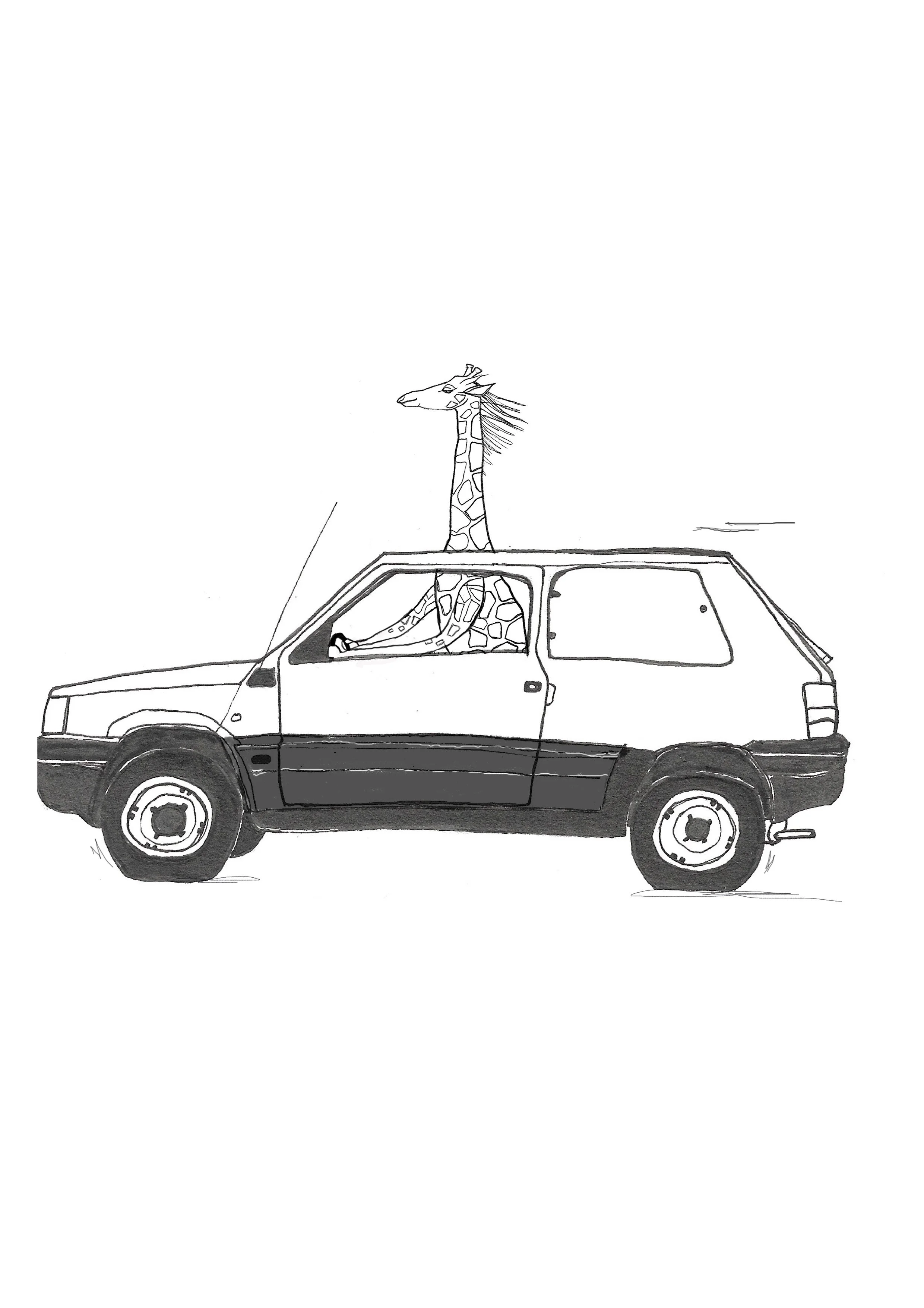 Giraffe/ Fiat Panda