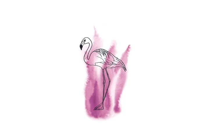 Flamingo/color