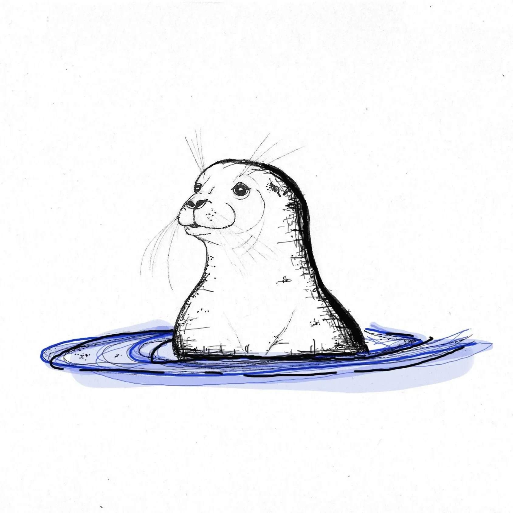 Robbe_Farbe.jpg