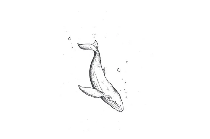 Wal Bubbles