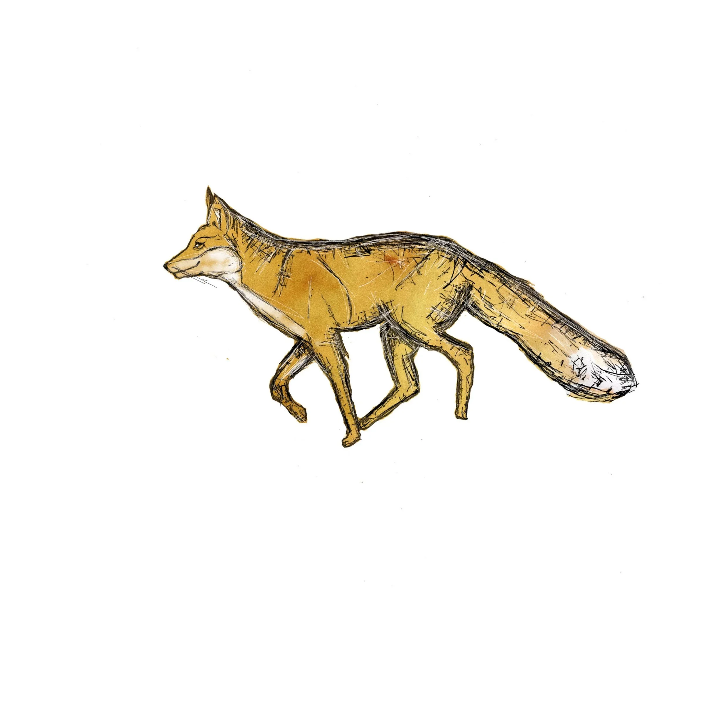 FuchsFarbe_ohneBoden.jpg