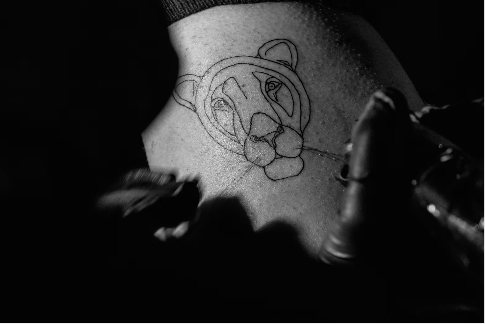 Löwin-Tattoo von Rahel Bachem 