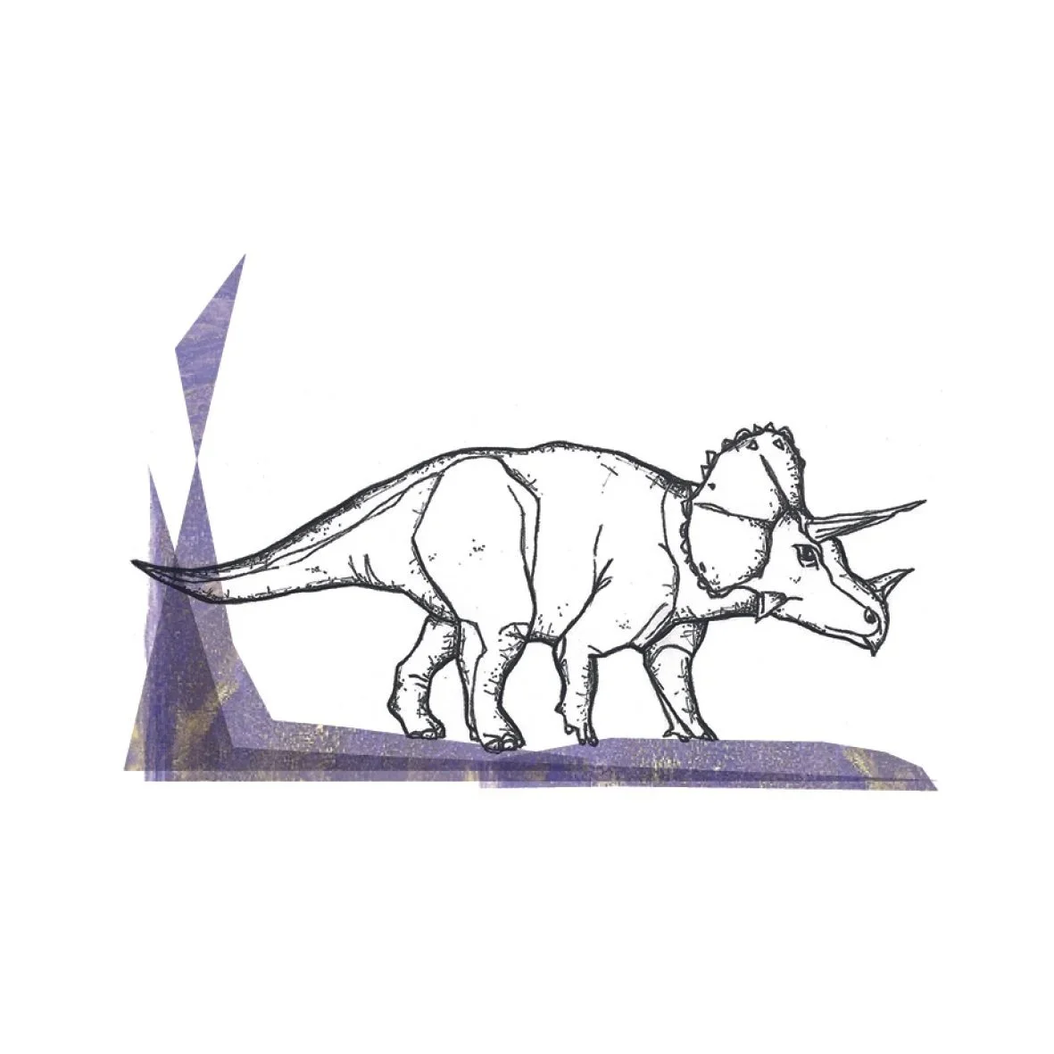 Triceratops_shop.jpg