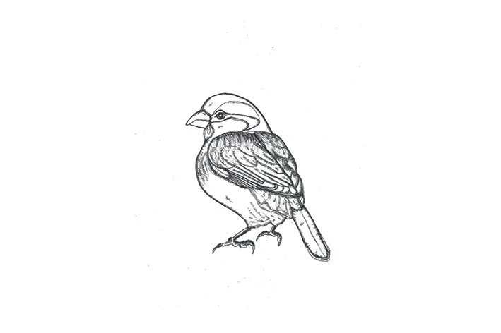 Spatz