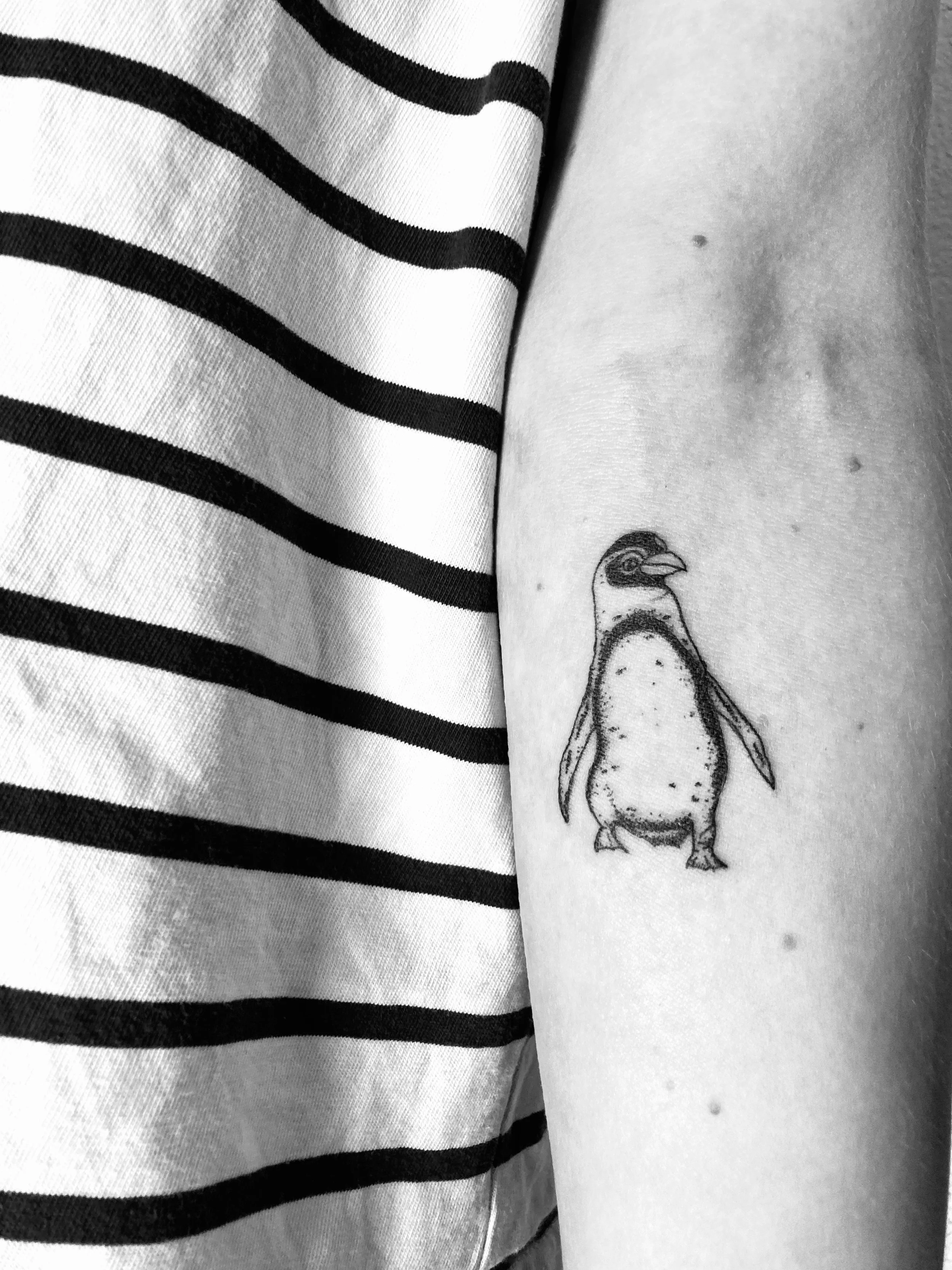 Fineline Dotwork Tattoo eines Pinguins auf einem Arm von Rahel Bachem 