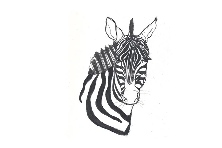 Zebra
