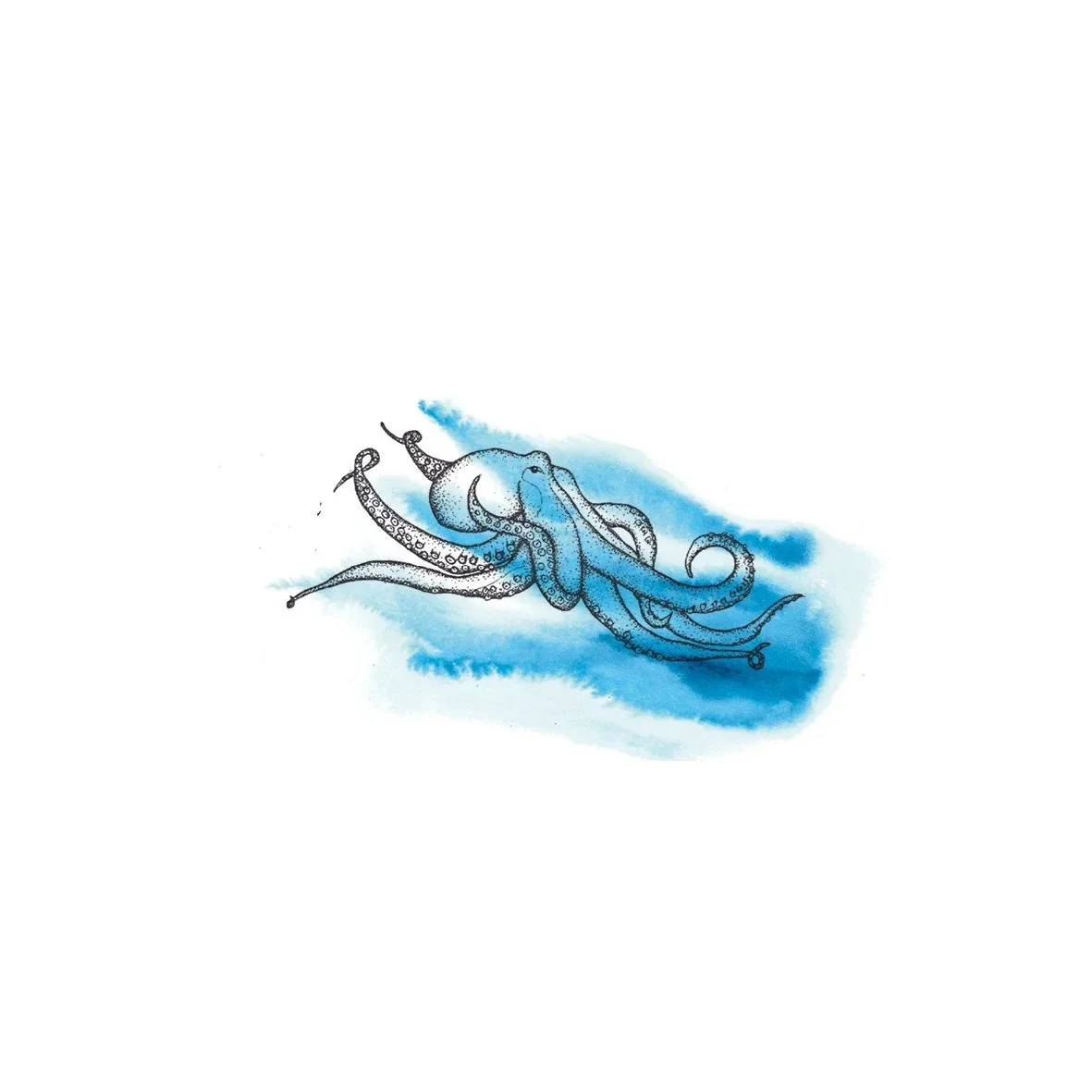 Oktopus_Farbe_Shop.jpg