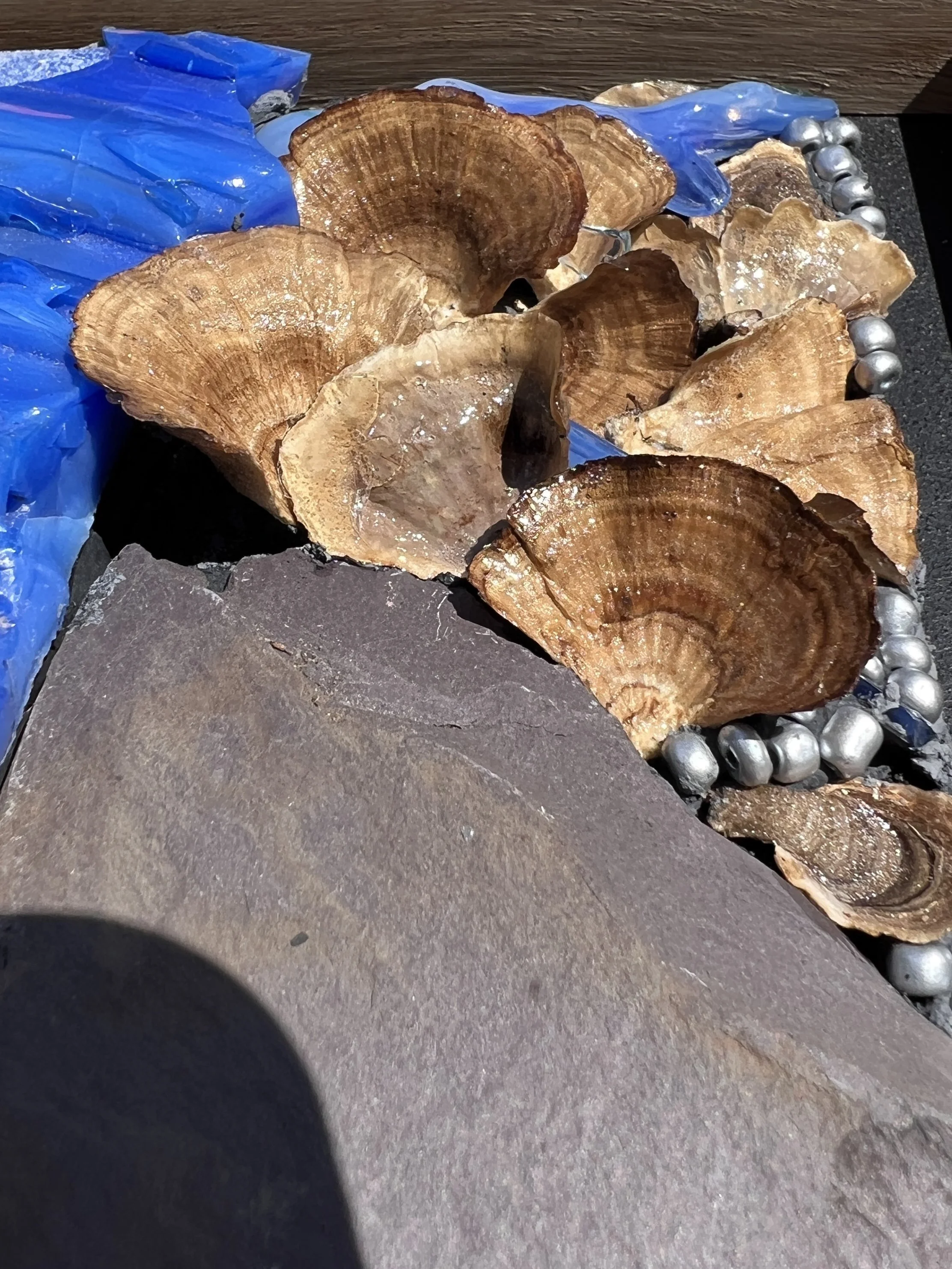 after the rains 2.JPEG