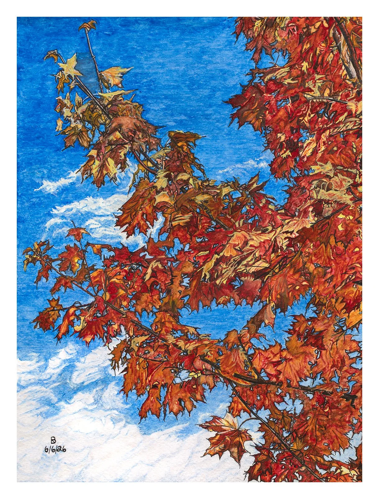 Canadian Colors
