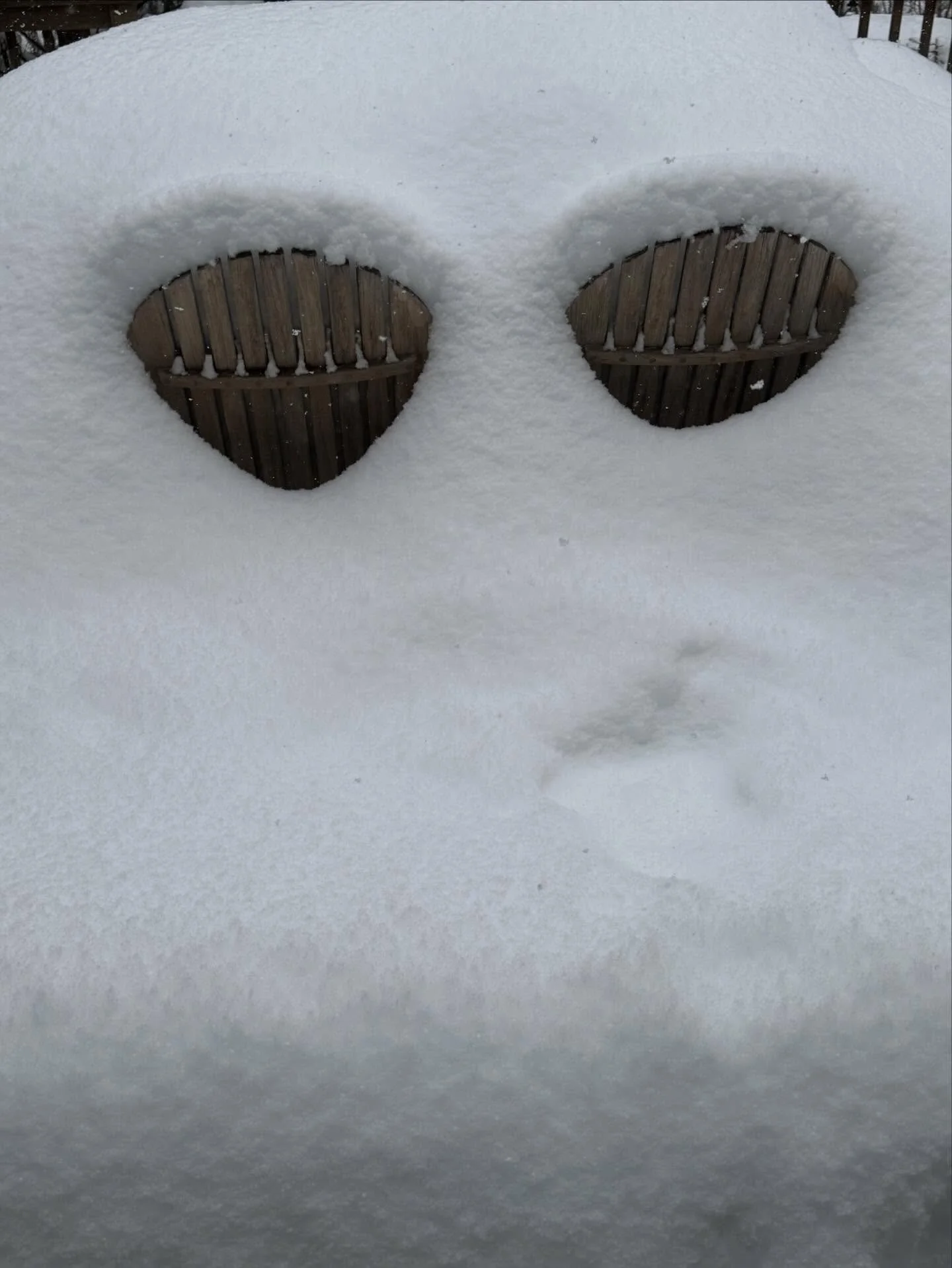 Take me to your leader II.