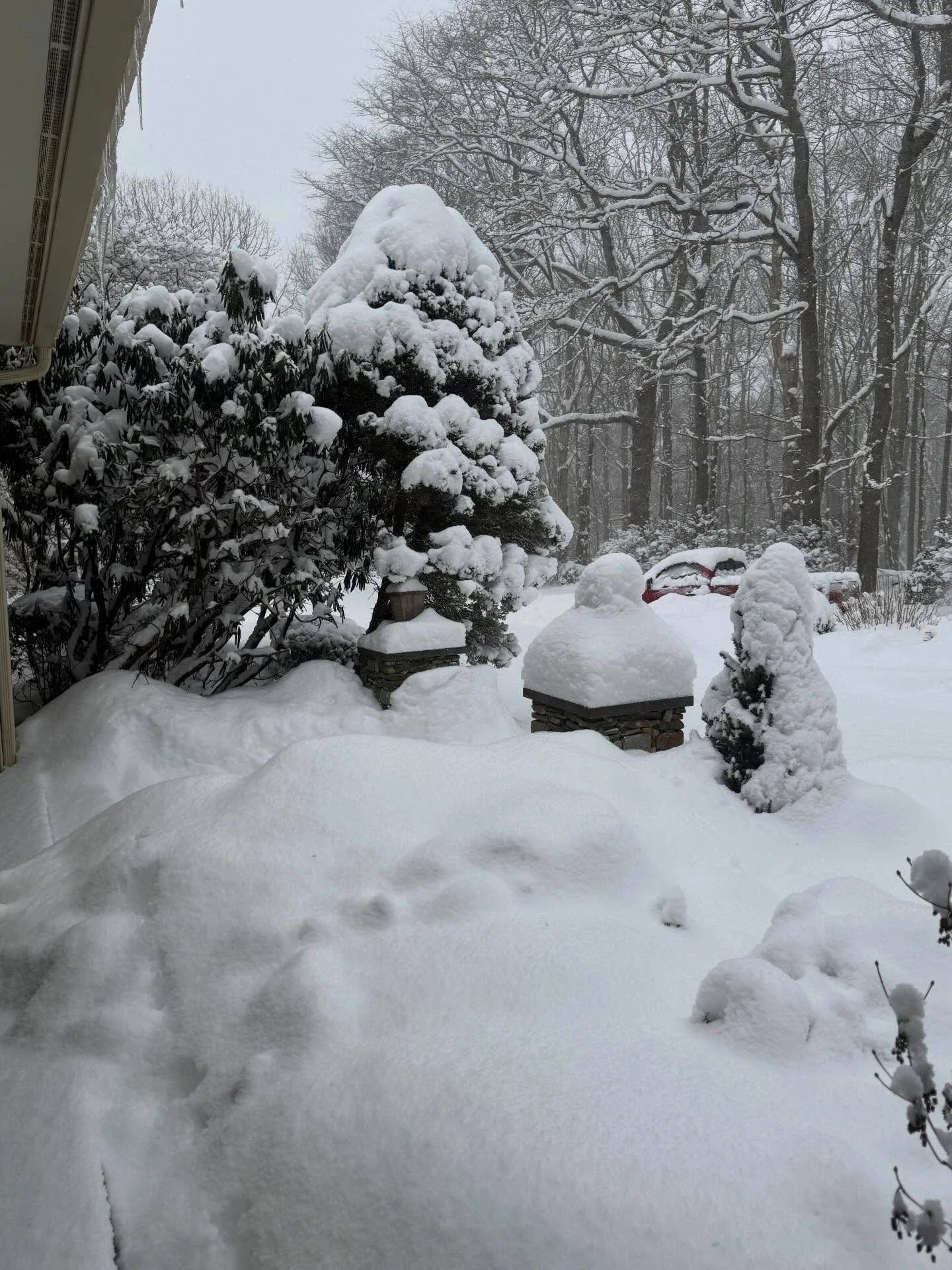 Do you know what they call getting in and out of my house&hellip;the Winter Olympics.