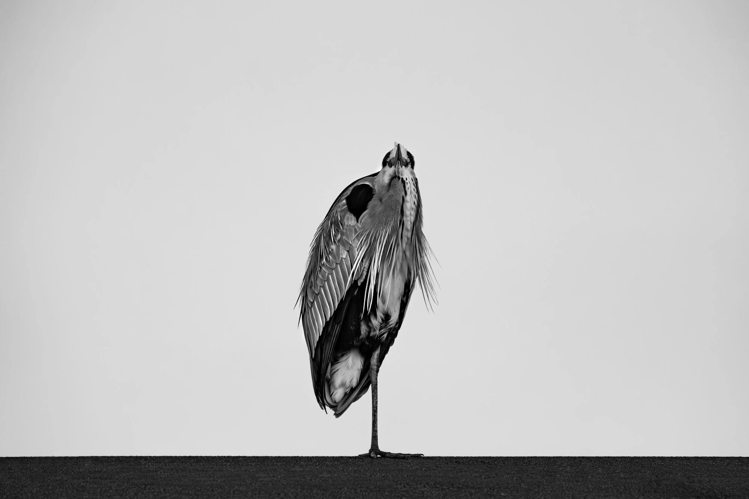 Balancing on One Foot