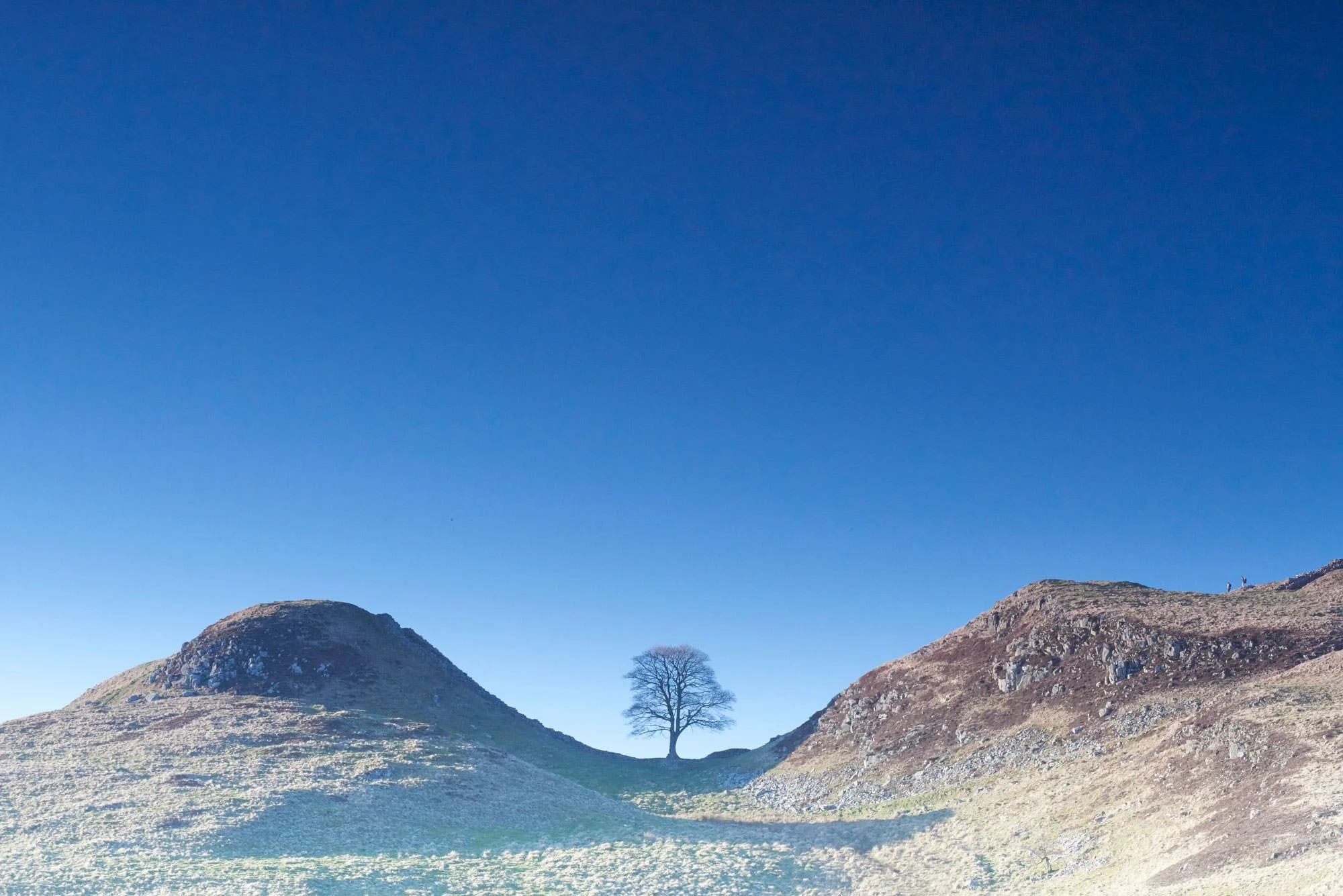 View-West-Photography-_-landscape-photographer-_-location-photographer-_-advertising-photographer-_-sycamore-gap-_-hadrians-wall-_-roman-wall.jpg