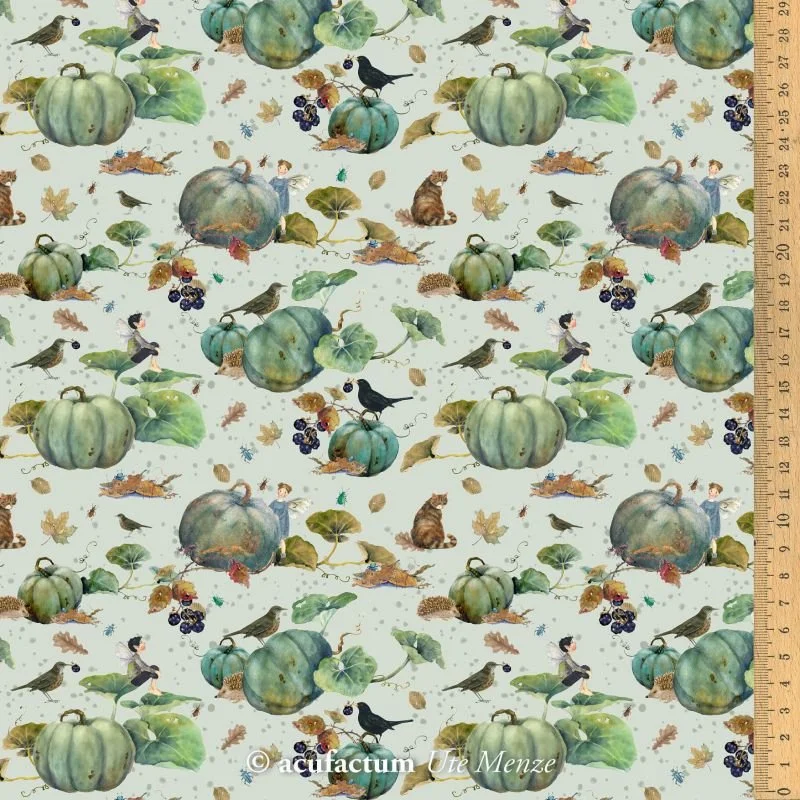 pumpkin patch.jpg
