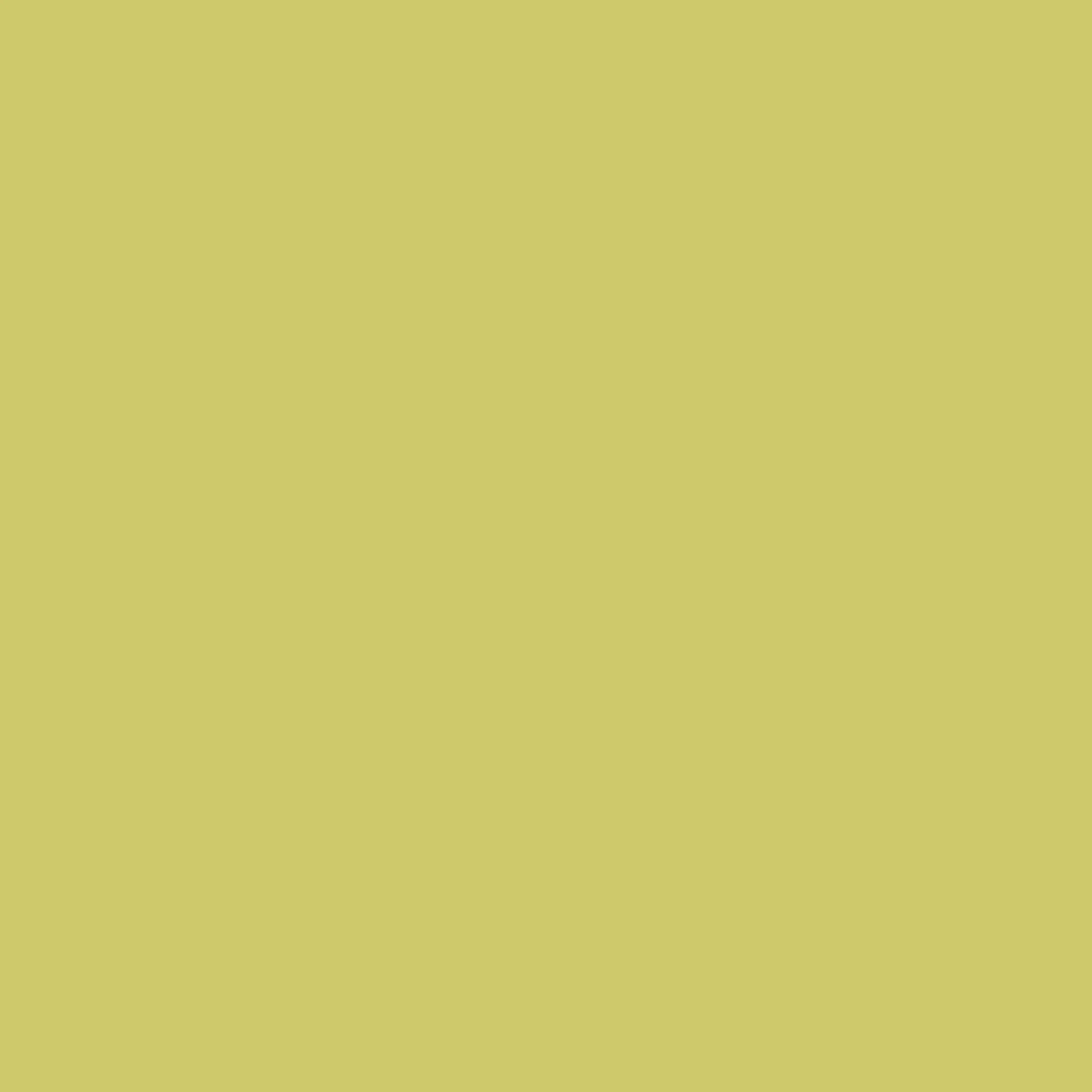 1/2m Tilda Solids - PALE YELLOW