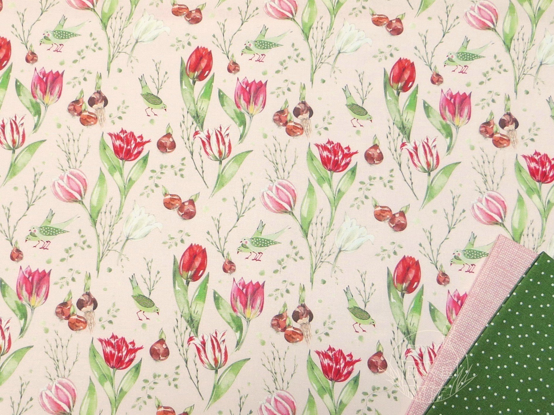 Tulip Time By Acufactum