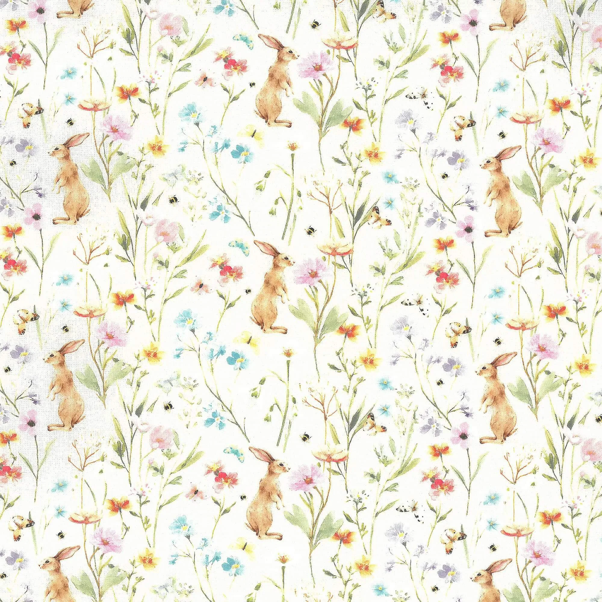 spring hare.jpg