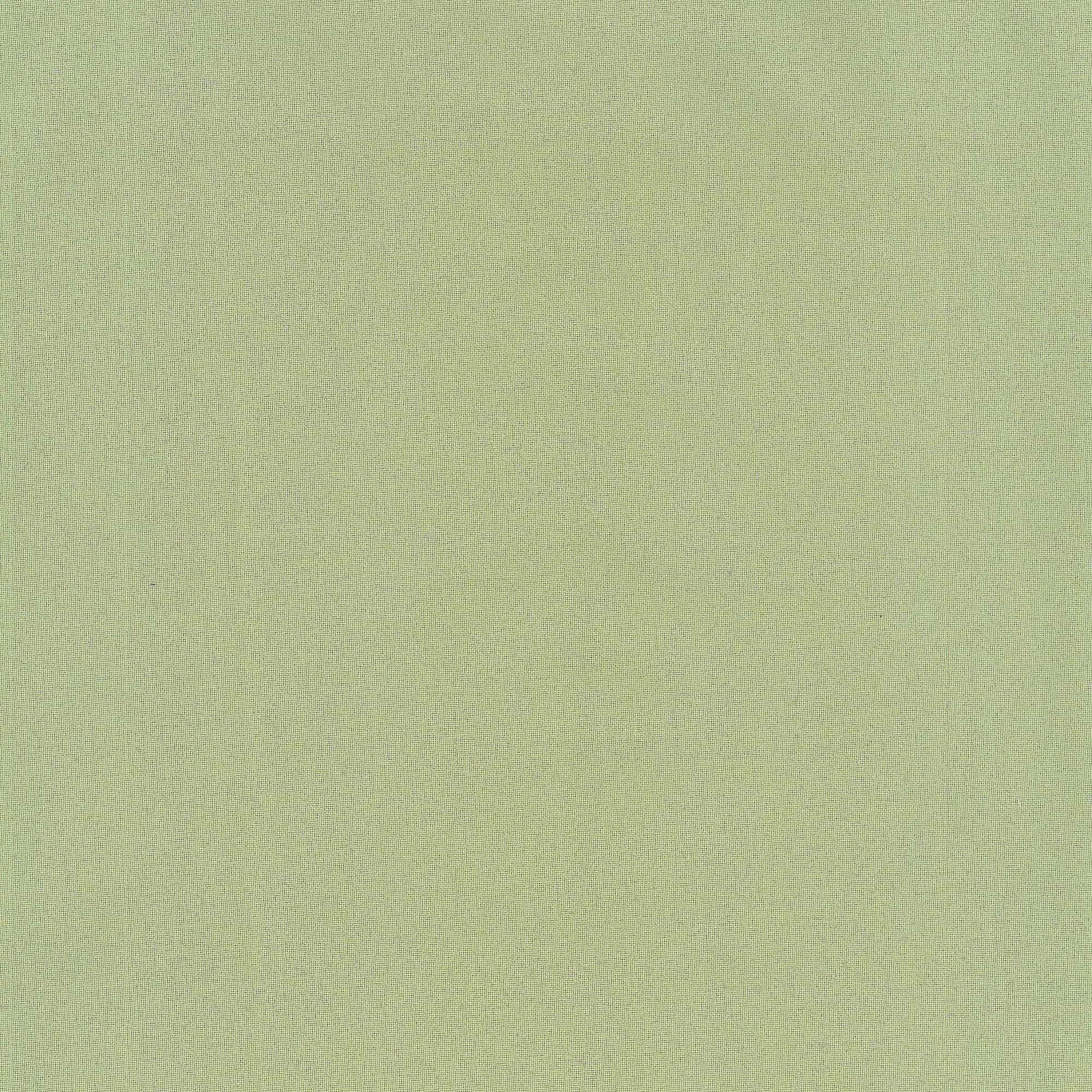 elmhirst-fabrics-pistachio-plain-weave-W4023350-westfalenstoffe.jpg