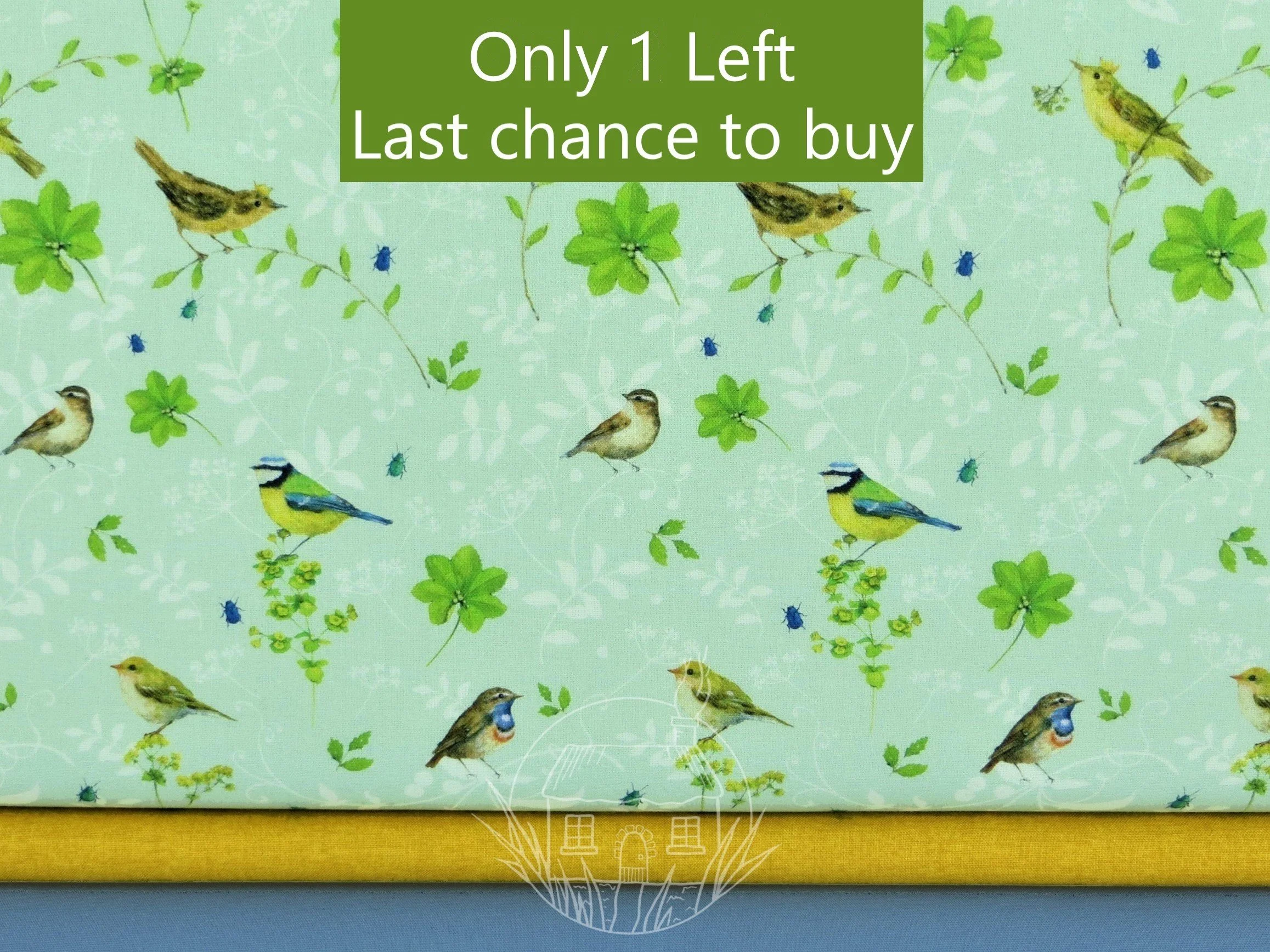 ** Bird World by Acufactum