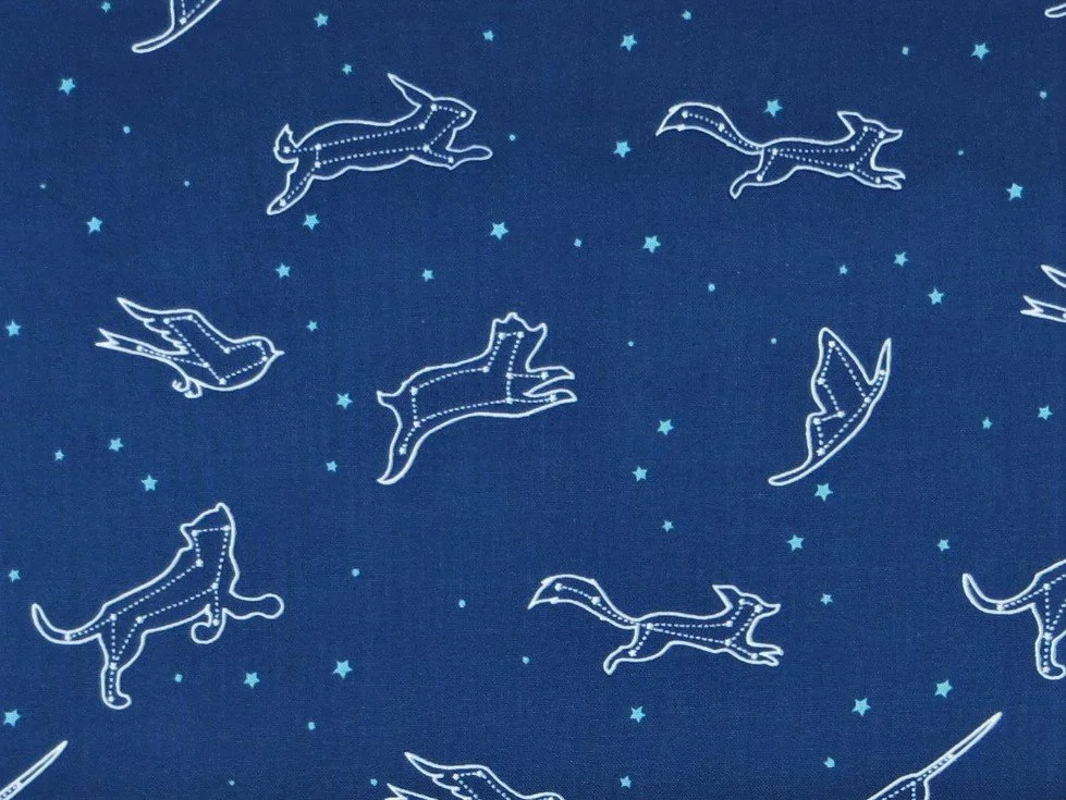 elmhirst-fabrics-dream-world-riley-blake-2.JPG