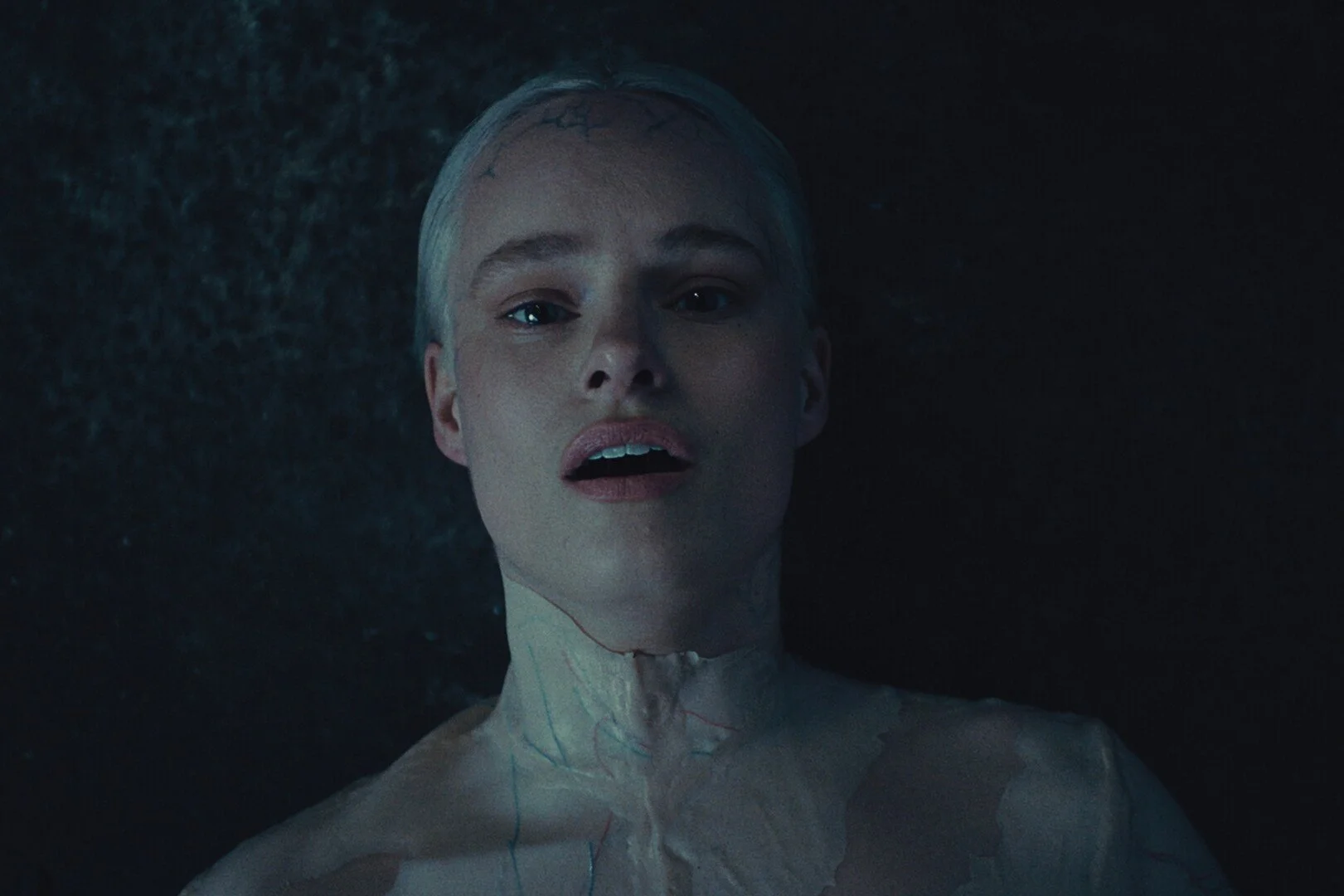 Photo 5 Born_Into_You_Still_4_JPEG.jpg