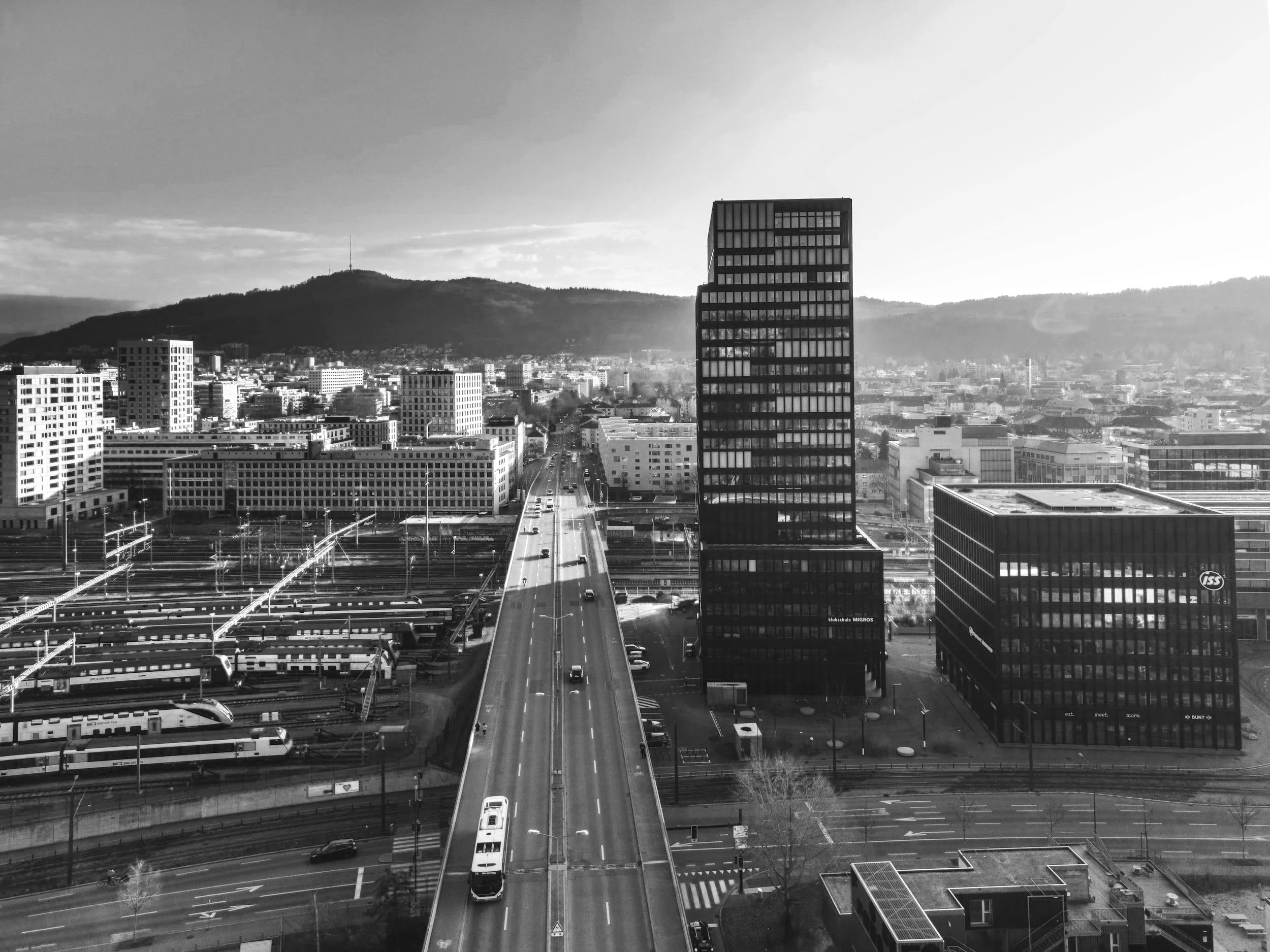 SCHWEIZER BRANDS visual data 2