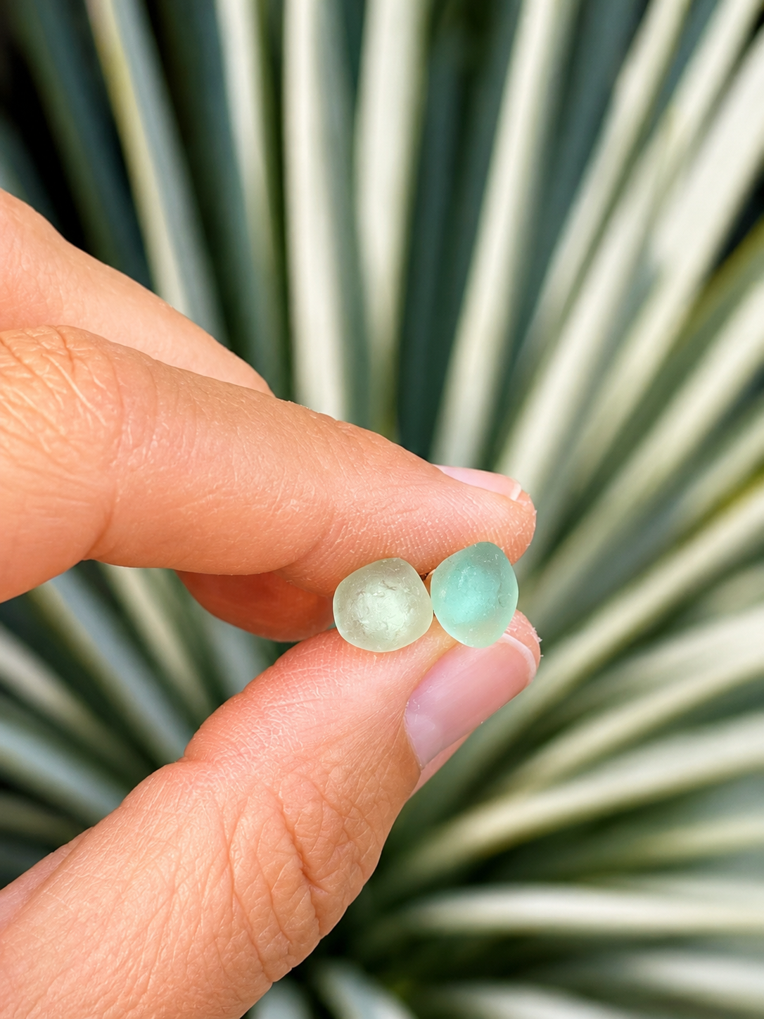 BOUCLES D'OREILLES BUBBLES