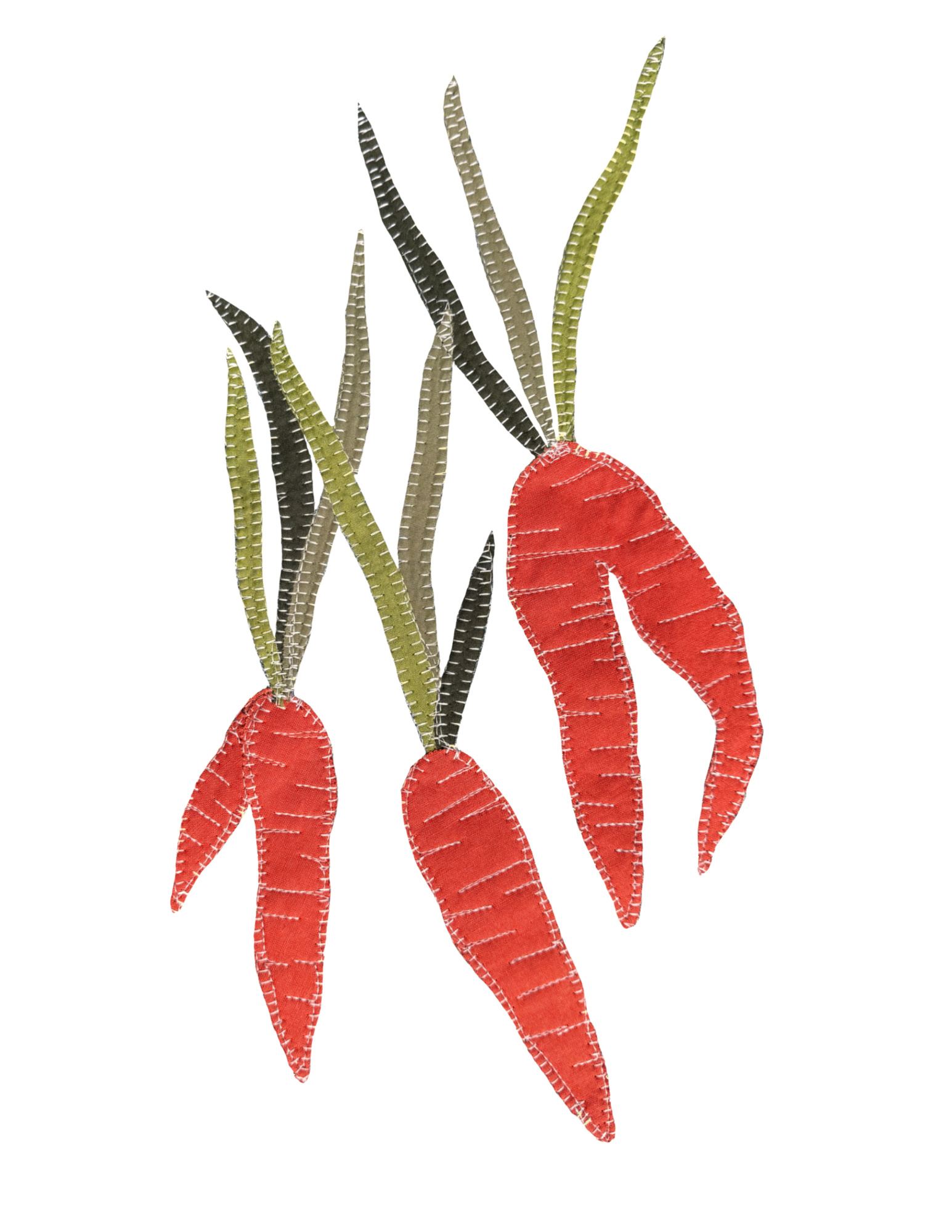 carrot png.png
