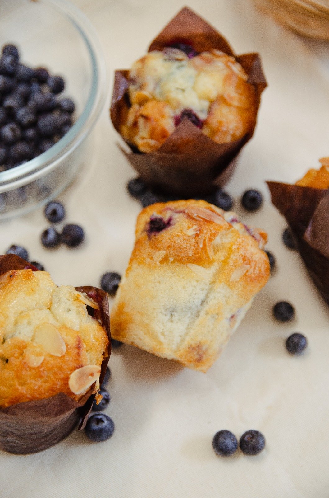 Luxury Blueberry Muffin