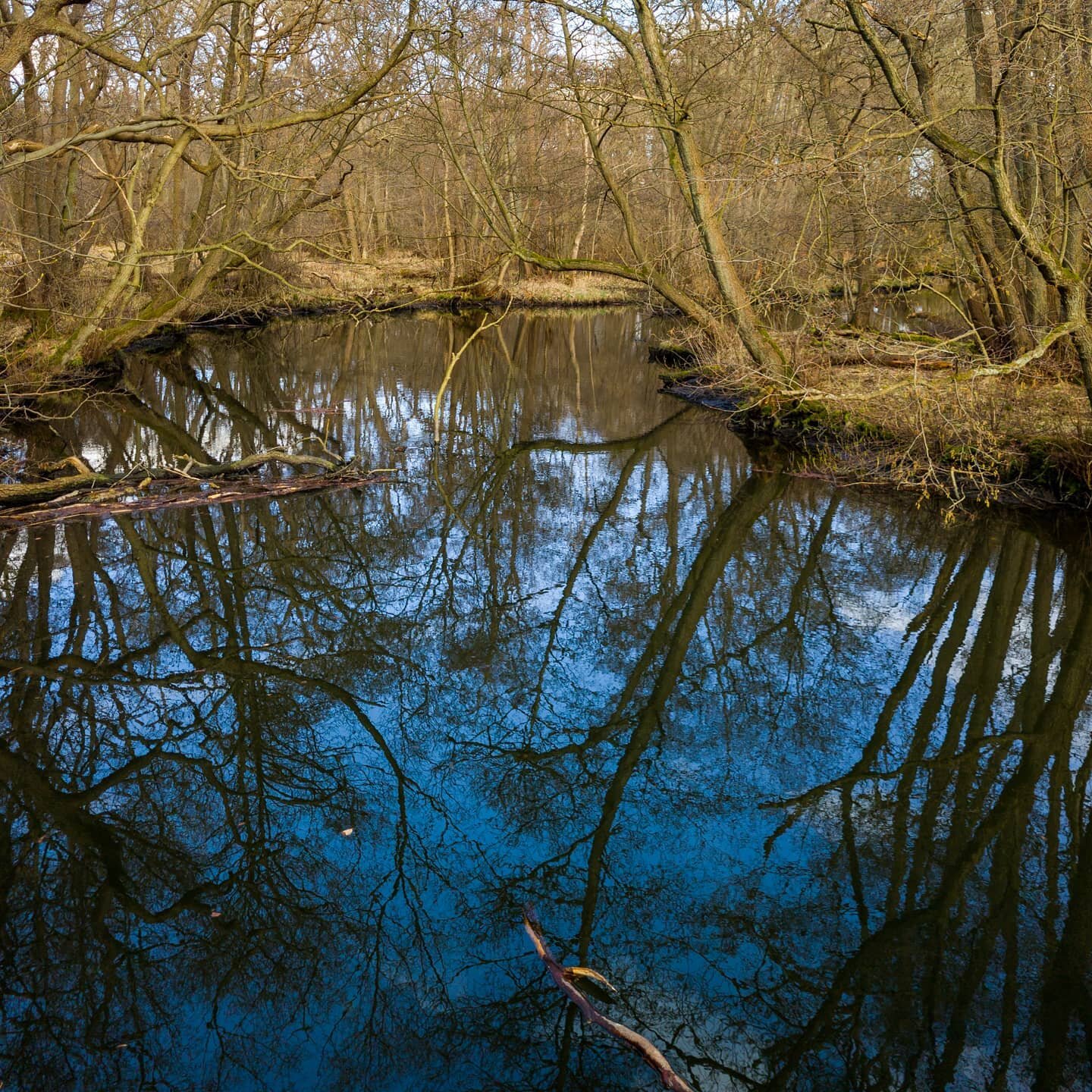 Perfectly still 🌲🏞🌊
🇩🇰
|
|
|
|
|
|
#dyrehaven #dyreliv #camera #dk #nature #photooftheday #photographer #picoftheday #instaboom #instagood #instaphoto #instapic #canon #eos #6dmark2 #danmark #denmark #raw #canonphotography #canoneos #canon