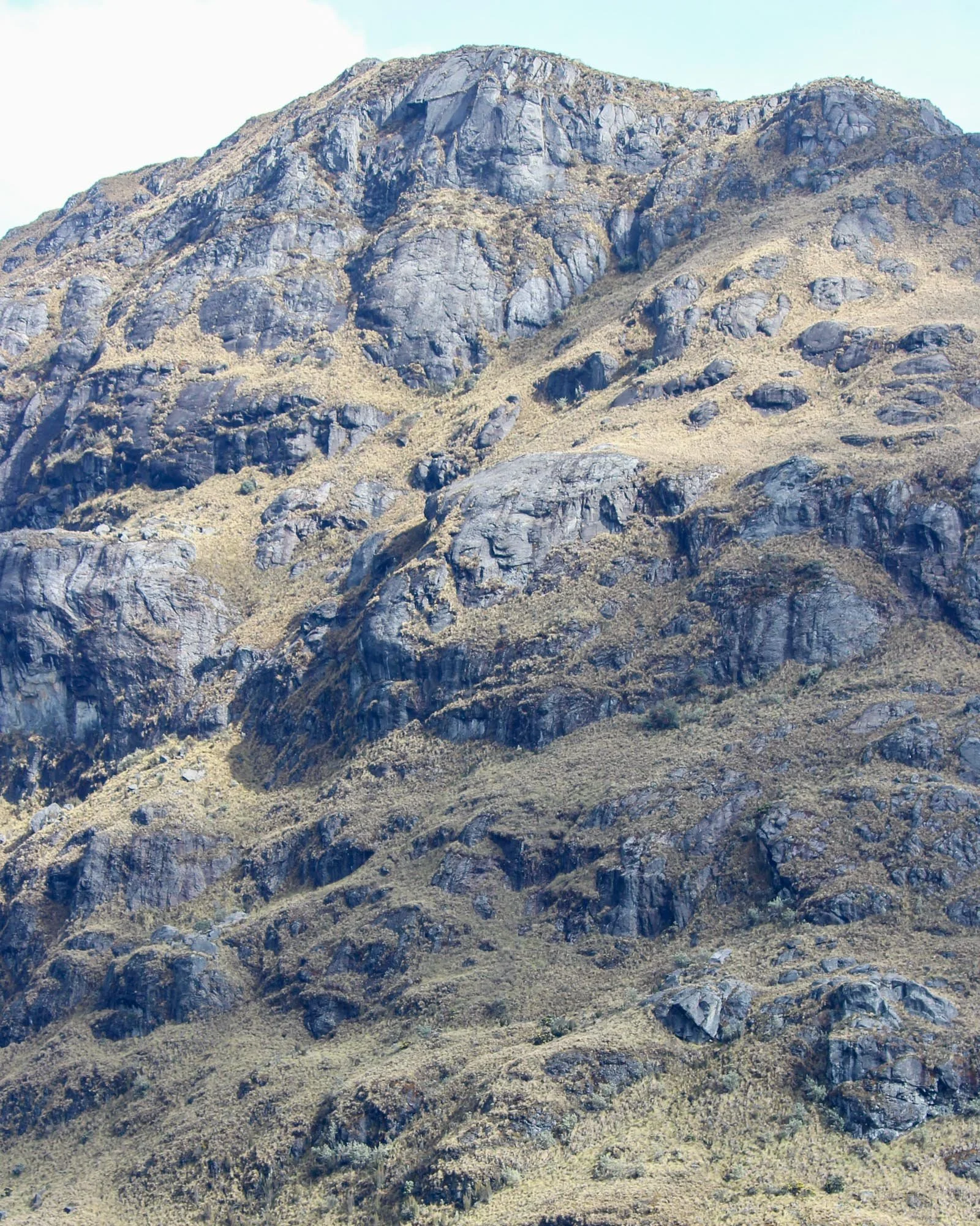 Image-41.jpg