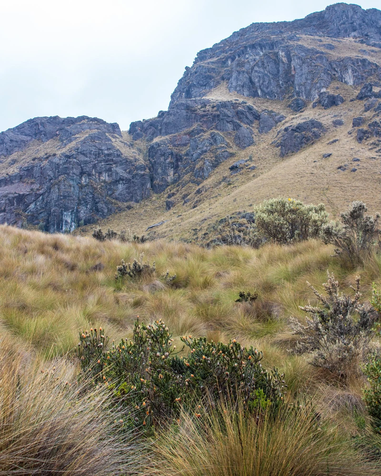 Image-51.jpg