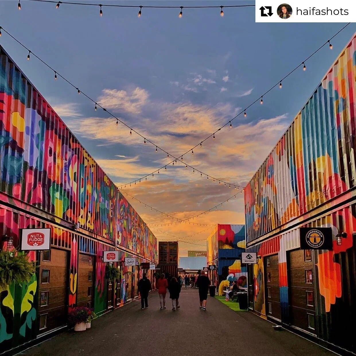 Canada New England cruise itineraries on sale now! 

Be sure to carve out some time to explore the Area 506 Waterfront Container Village when in Saint John! 😎🛳️

Music. Culture. Goods. It&rsquo;s a vibe! 

#travelagent #vacationplanner #cruiseaddic