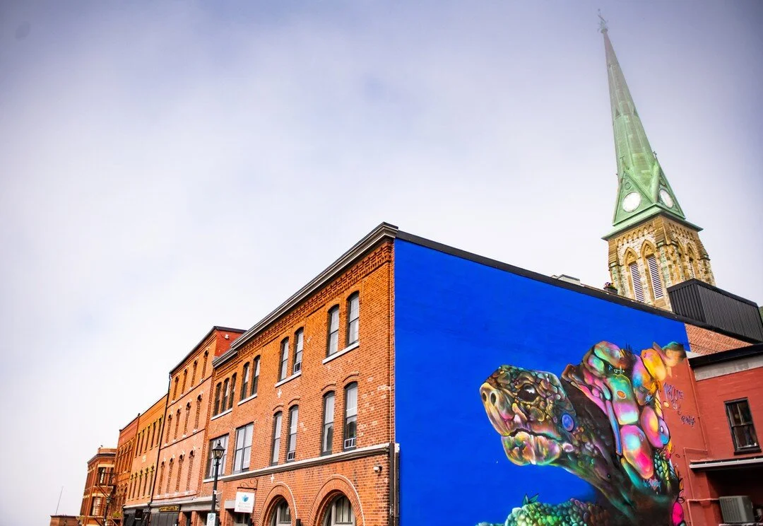 When visiting Saint John, keep your eyes peeled - public art will surprise &amp; delight! 🎨

Canada New England cruises on sale now with your favorite cruise line! 🚢
.
.
.
 #travelagent #travelagents #travelagenttips #travelagentlife #travelagentsr