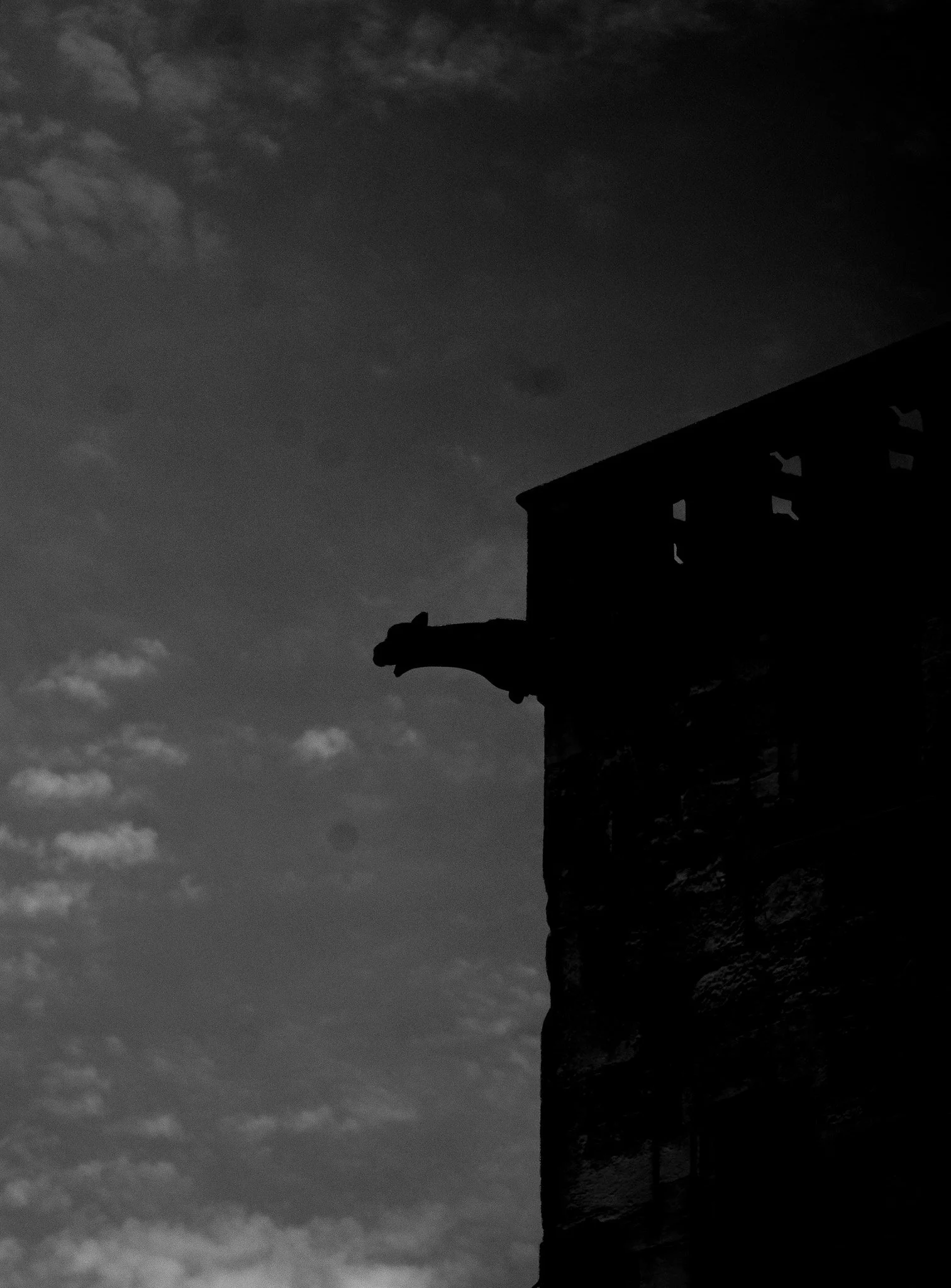 P1051585.jpg