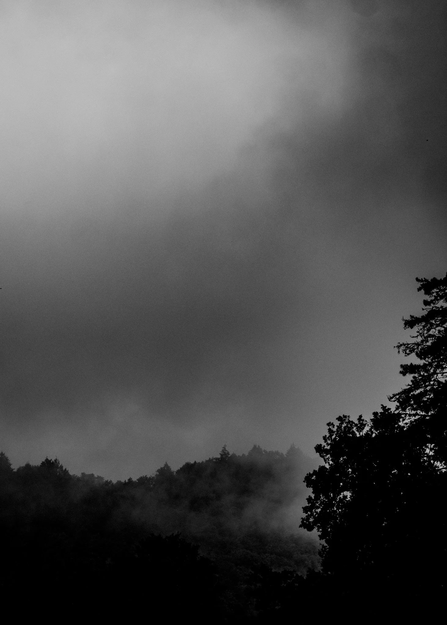 P1063077-2.jpg