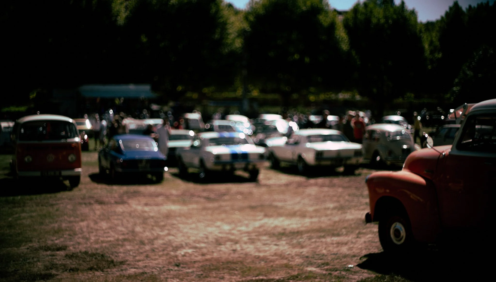 P1052463.jpg