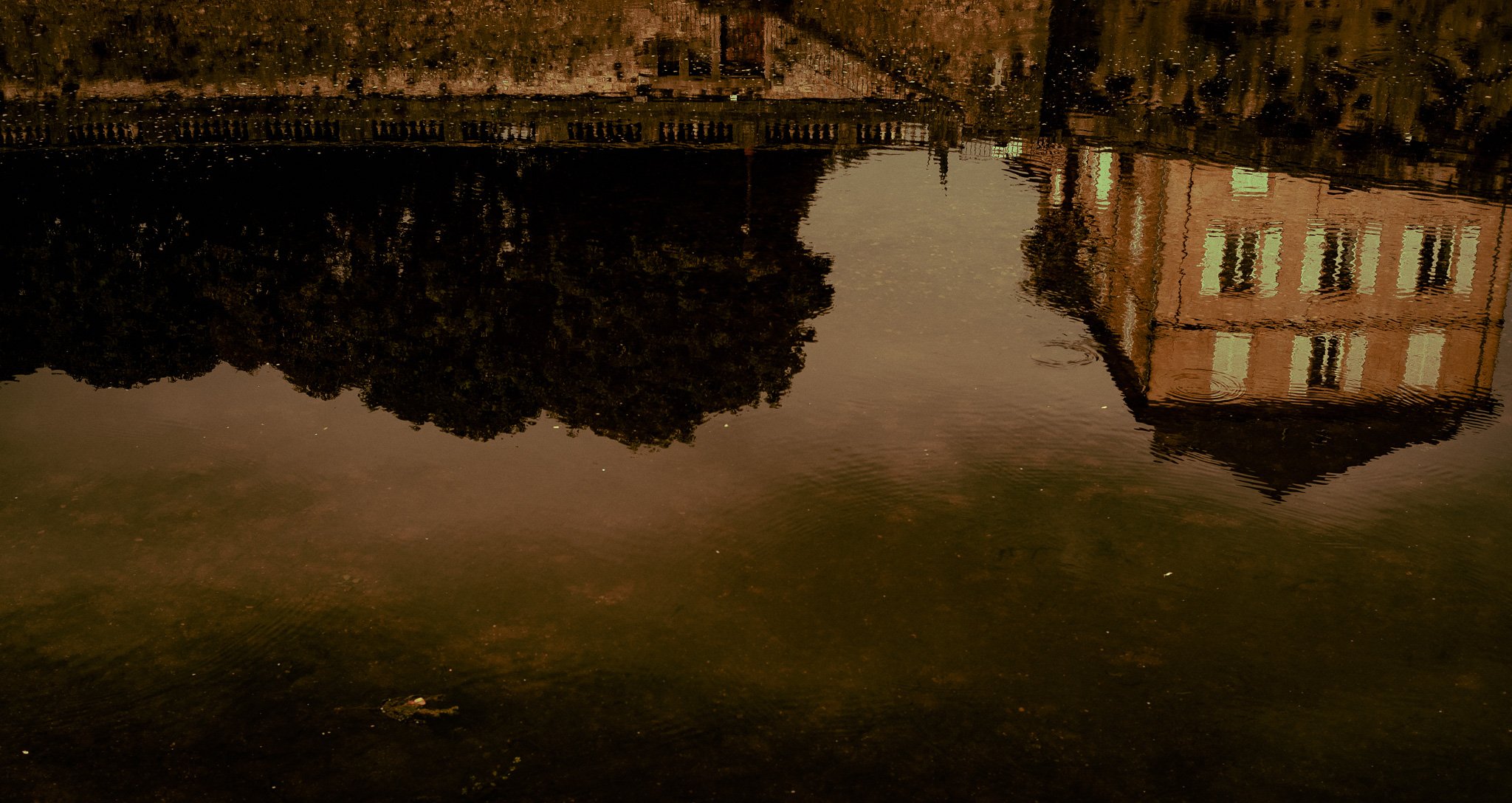 P1052752.jpg
