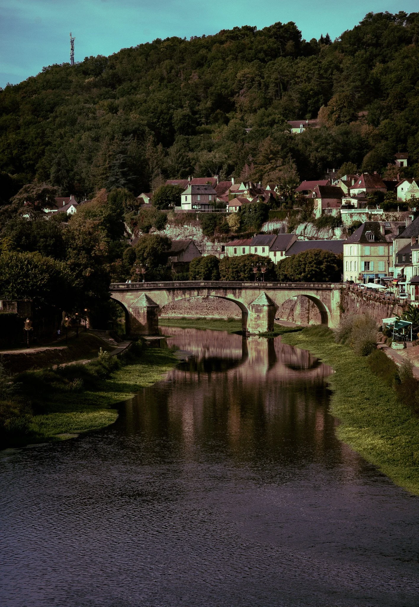 P1052659.jpg