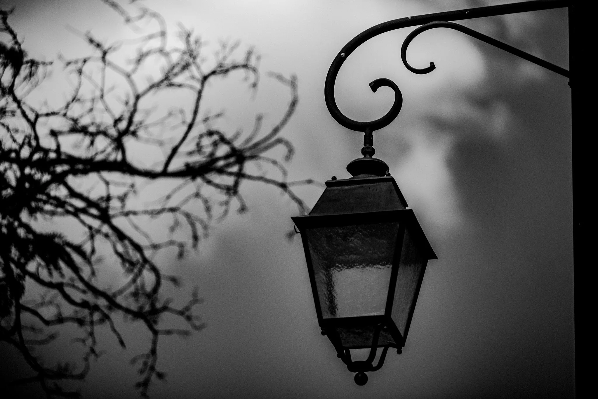 P1063045-3.jpg