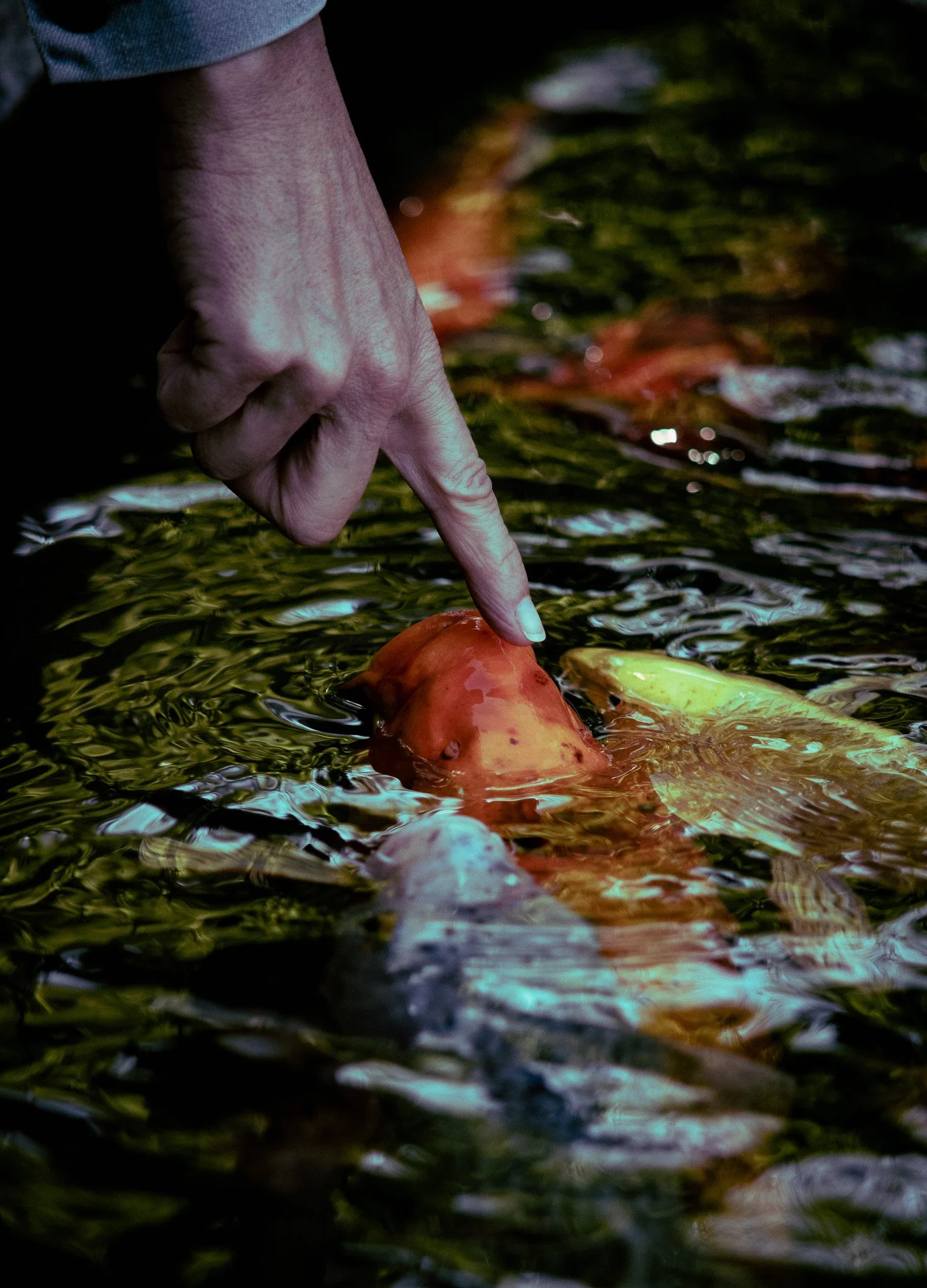 P1052031.jpg