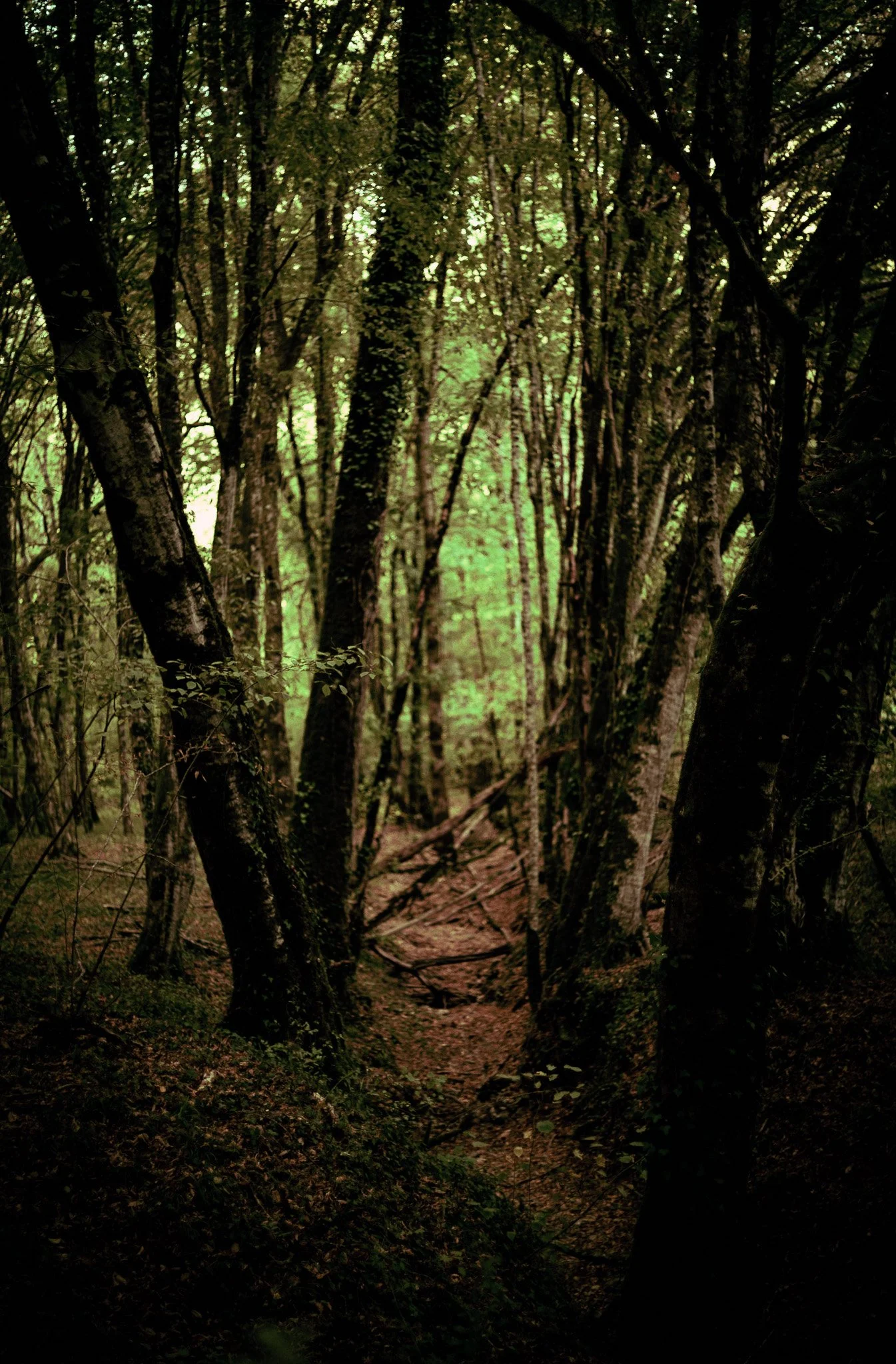 P1052815.jpg