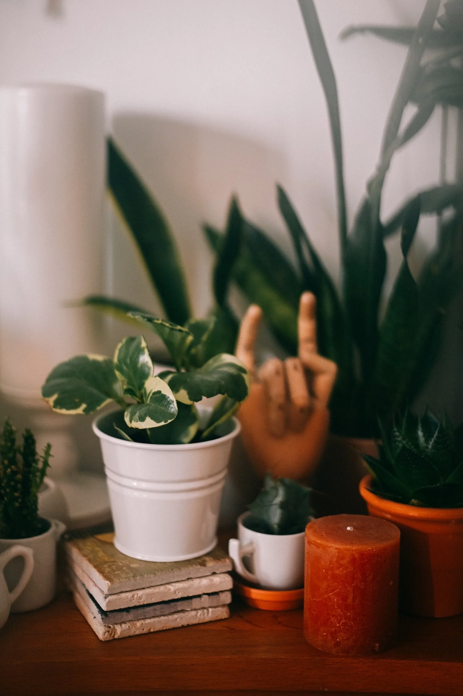 Green potted plants, candles, and wooden hand figurine on wooden desk