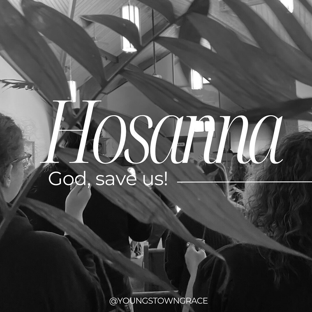 And the crowds that went before him and that followed him were shouting, &ldquo;Hosanna to the Son of David! Blessed is he who comes in the name of the Lord! Hosanna in the highest!&rdquo; - Matthew 21:9