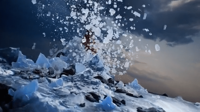 STRAUSS-low-2.gif
