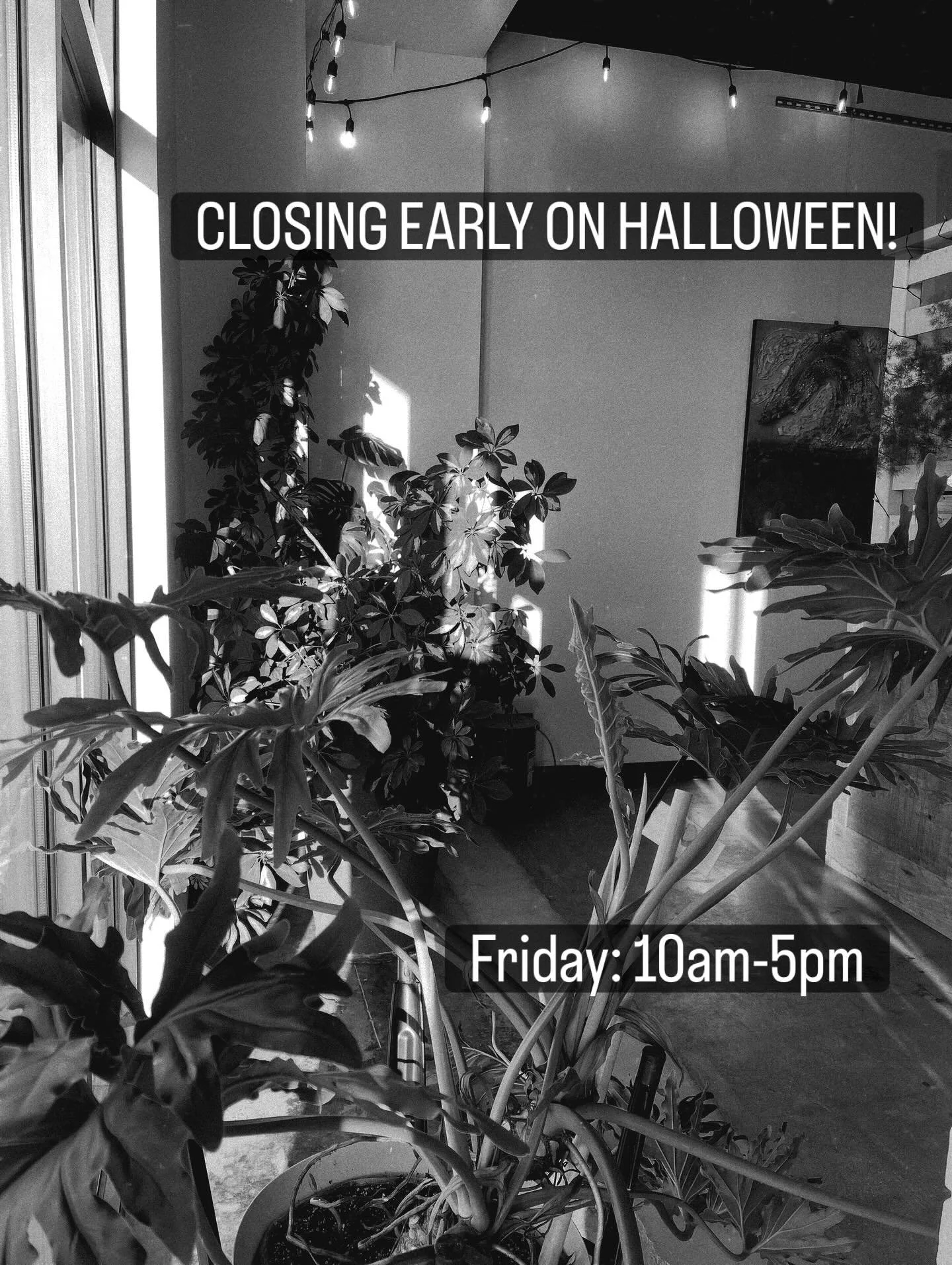 That’s it really. 
Gonna spend some good memory time with family and friends!