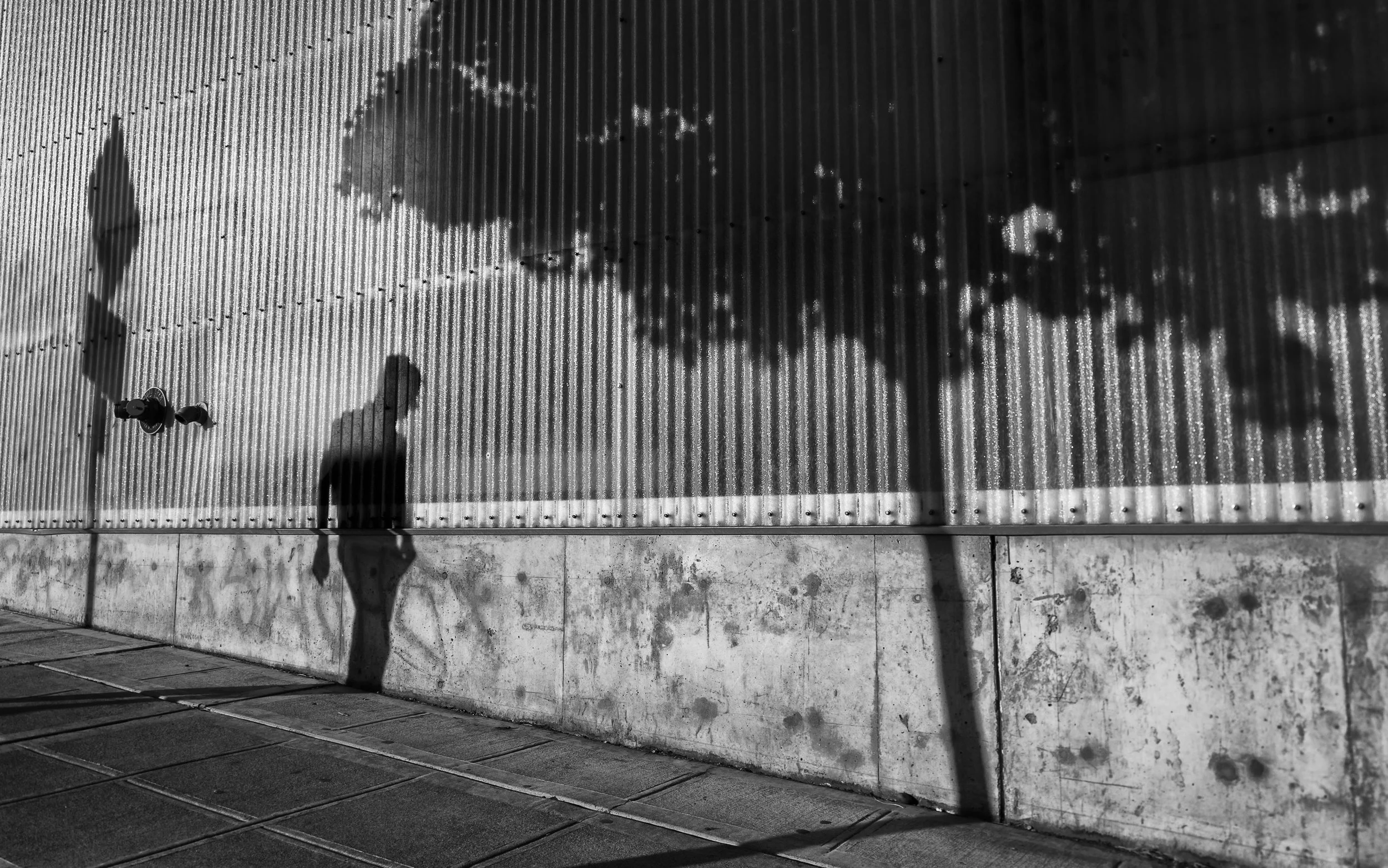  Seeking Shade,  Seattle, Washington
